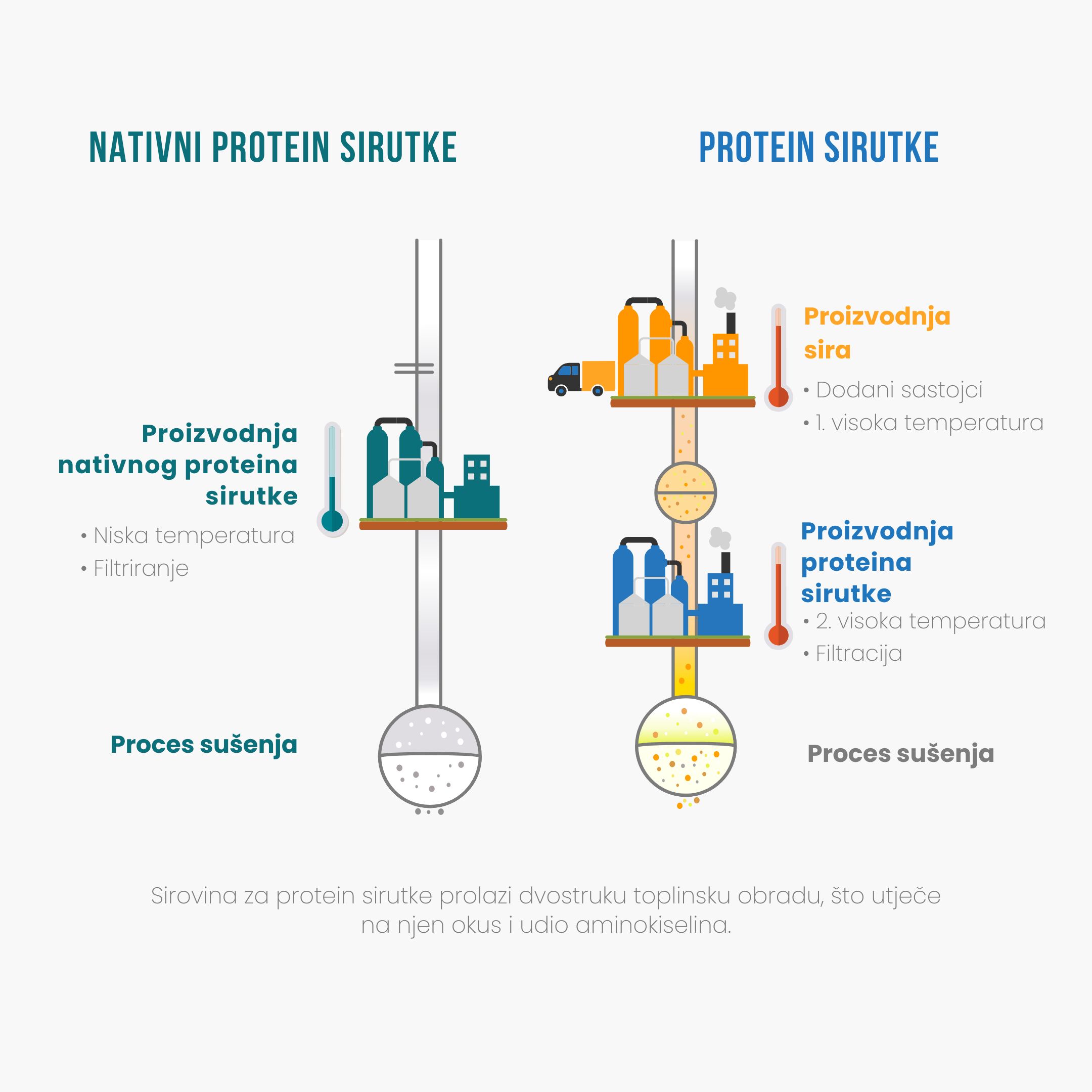 (Chorvatština) Vyroba proteinu (1)
