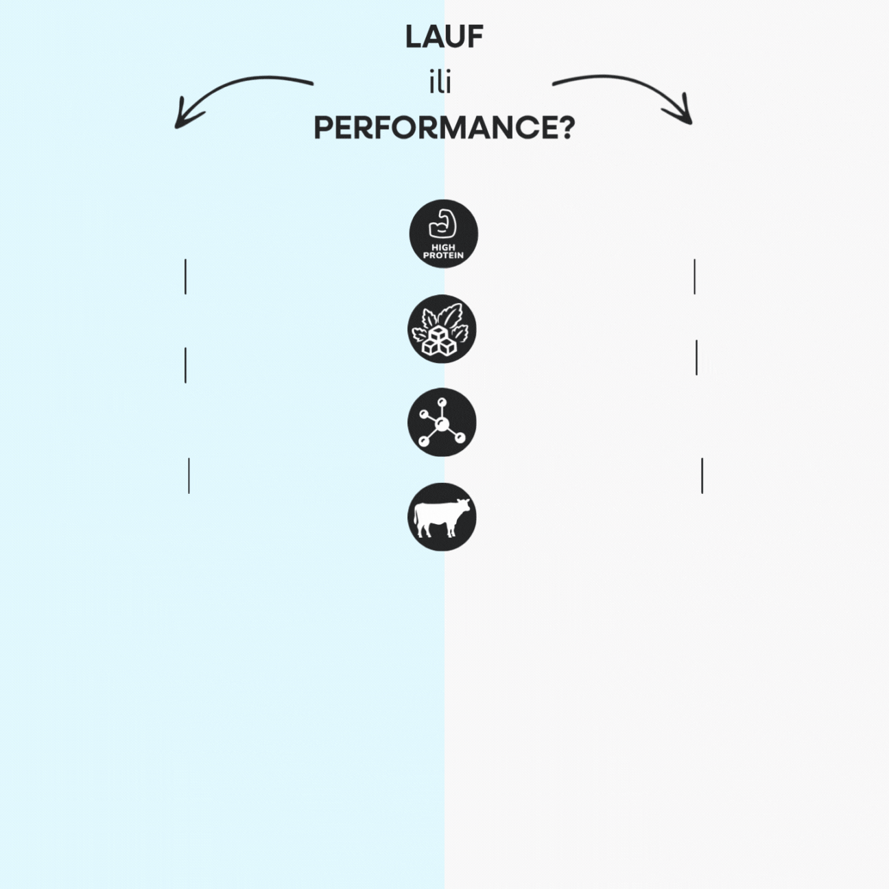LAUF x Performance