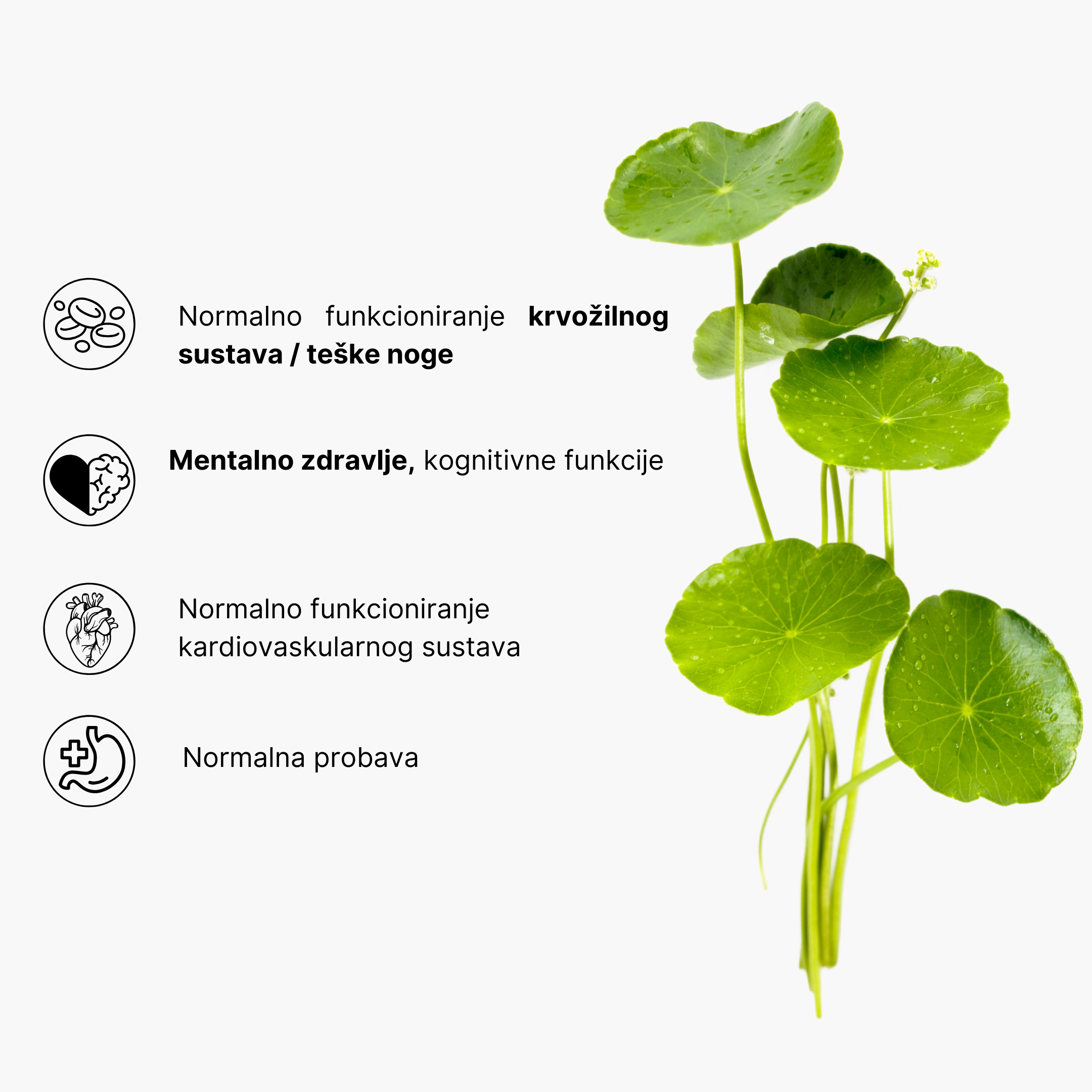 (Chorvatština) Magnesium ve spreji