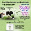 (Chorvatština) BrainMax Grass fed kolagen