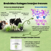 (Chorvatština) BrainMax Grass fed kolagen