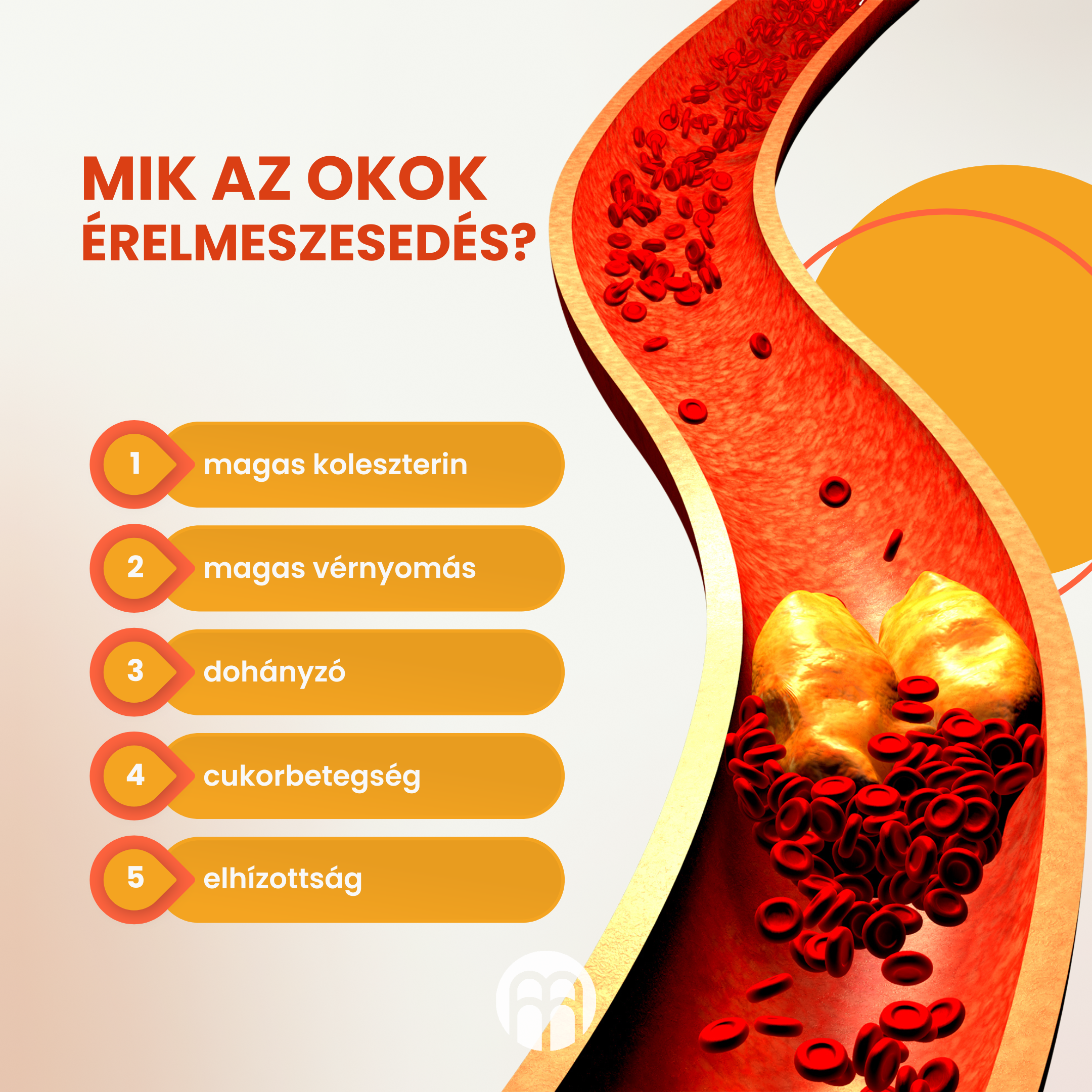 Érelmeszesedés. Okai és megelőzése.