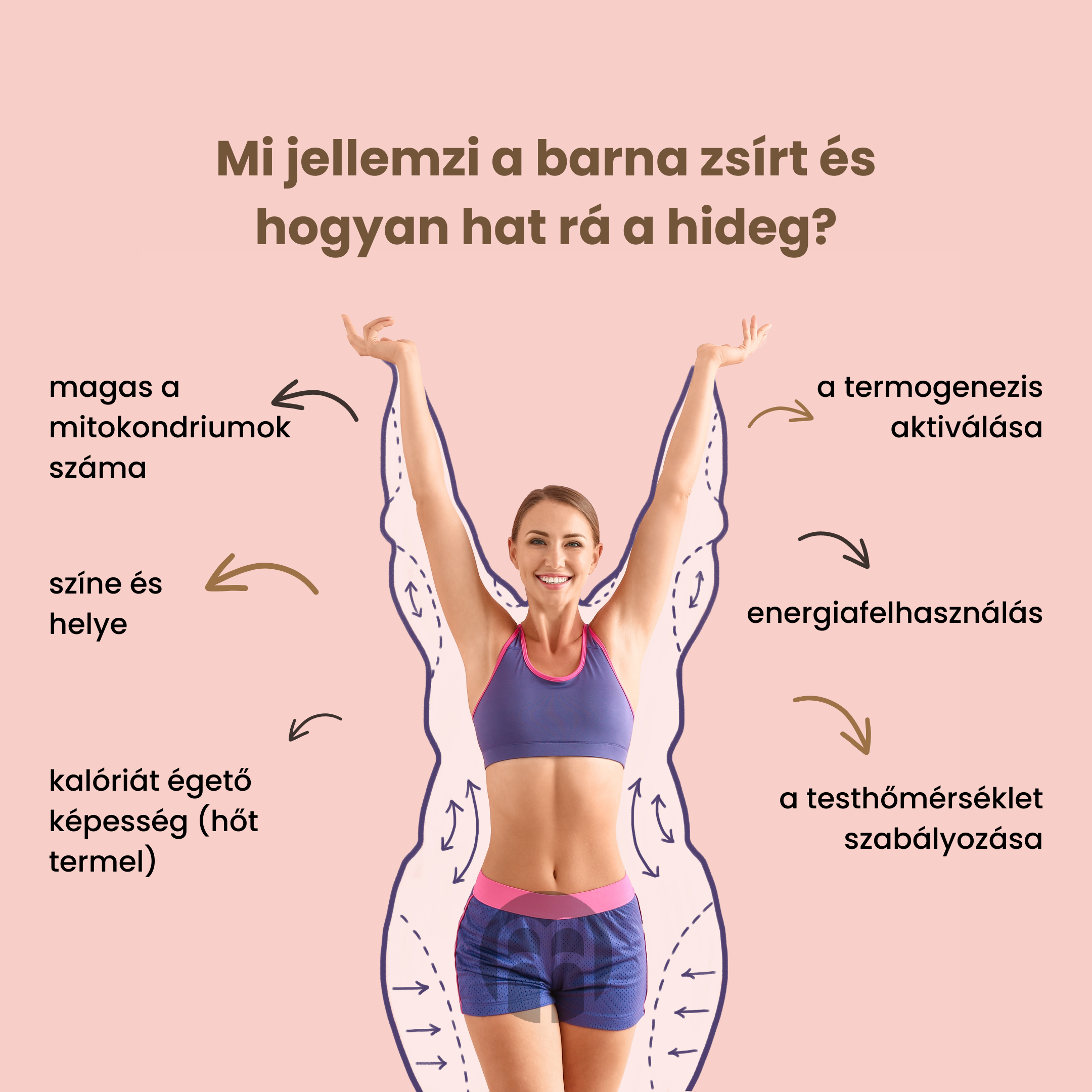 Hideg és a fogyás? Segíti a fogyást a hideg?
