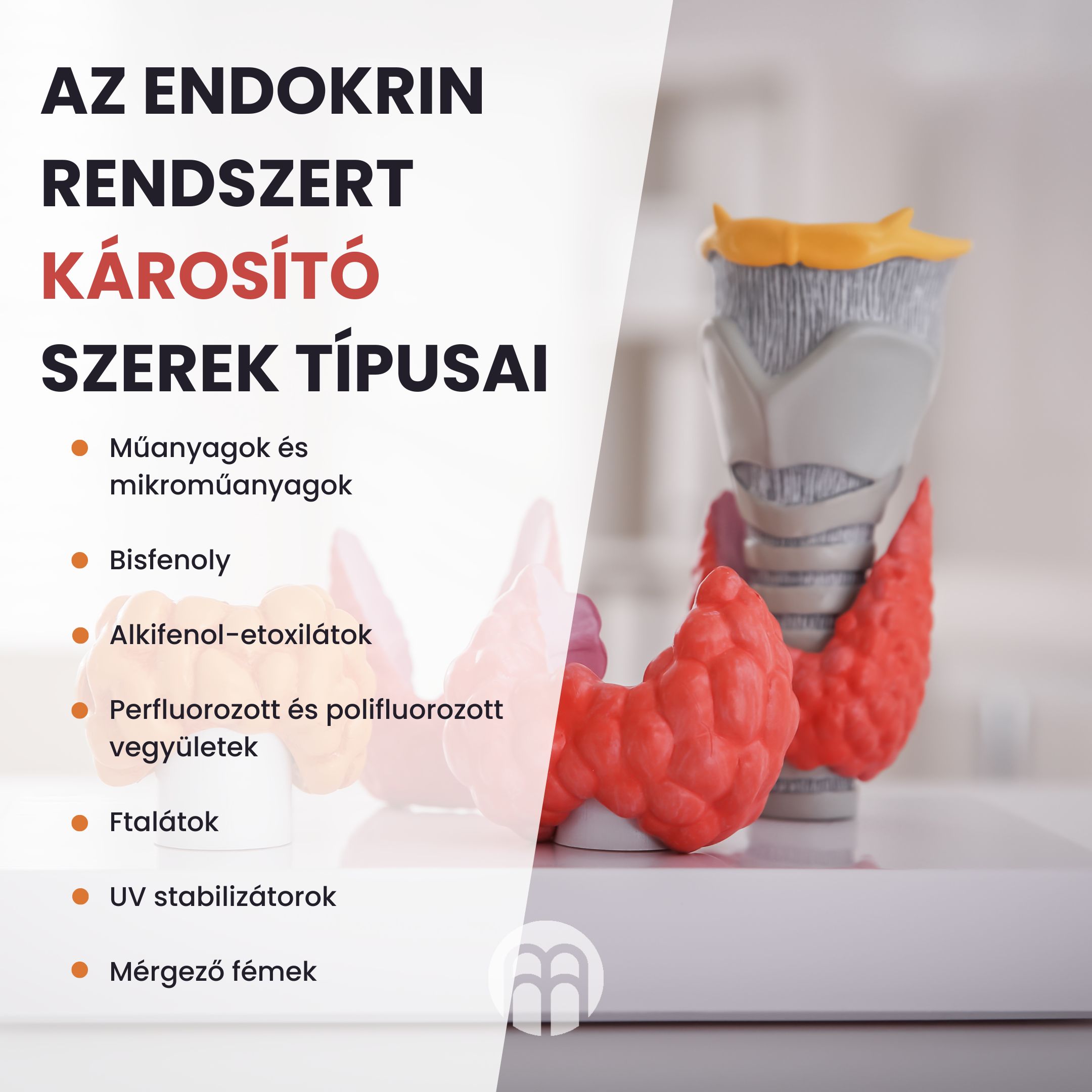 A legveszélyesebb endokrin károsítók és címkézésük a termékeken