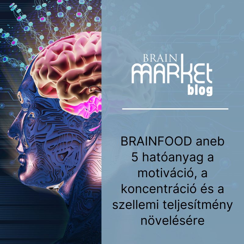 BRAINFOOD avagy 5 hatásos anyag a motiváció, koncentráció és mentális teljesítmény fokozására