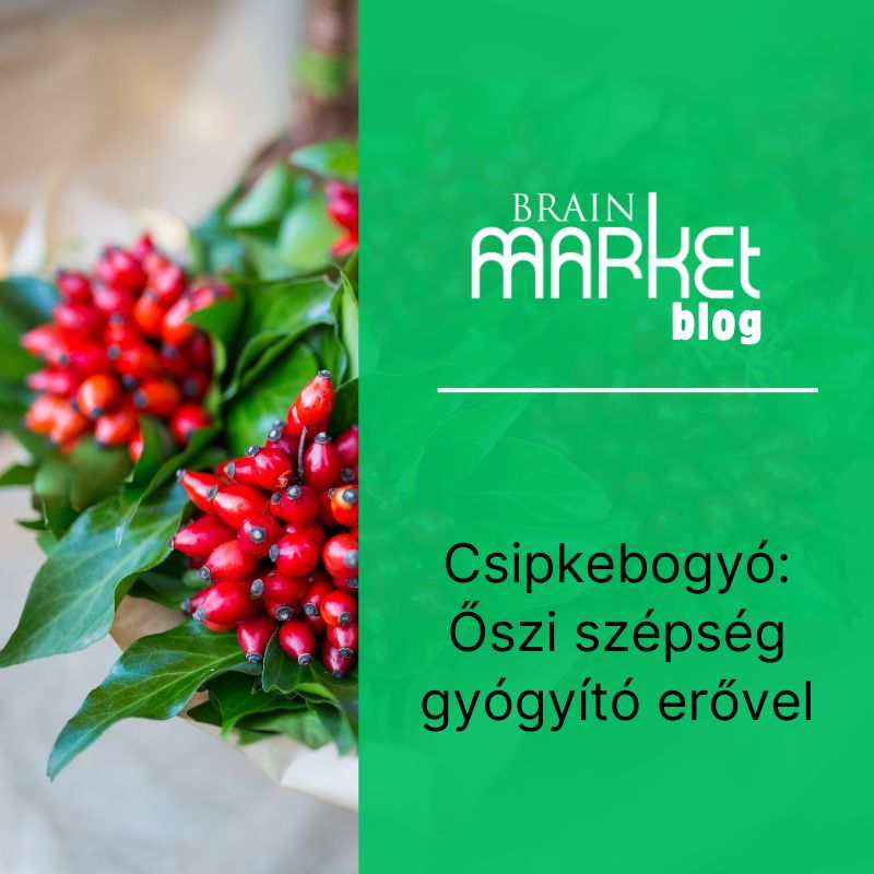 Csipkebogyó: Őszi szépség gyógyító erővel