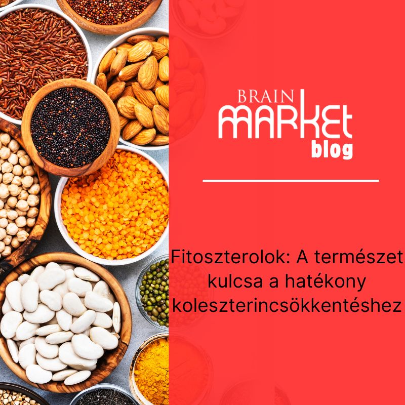 Fitoszterolok: A koleszterinszint hatékony csökkentésének természetes kulcsa