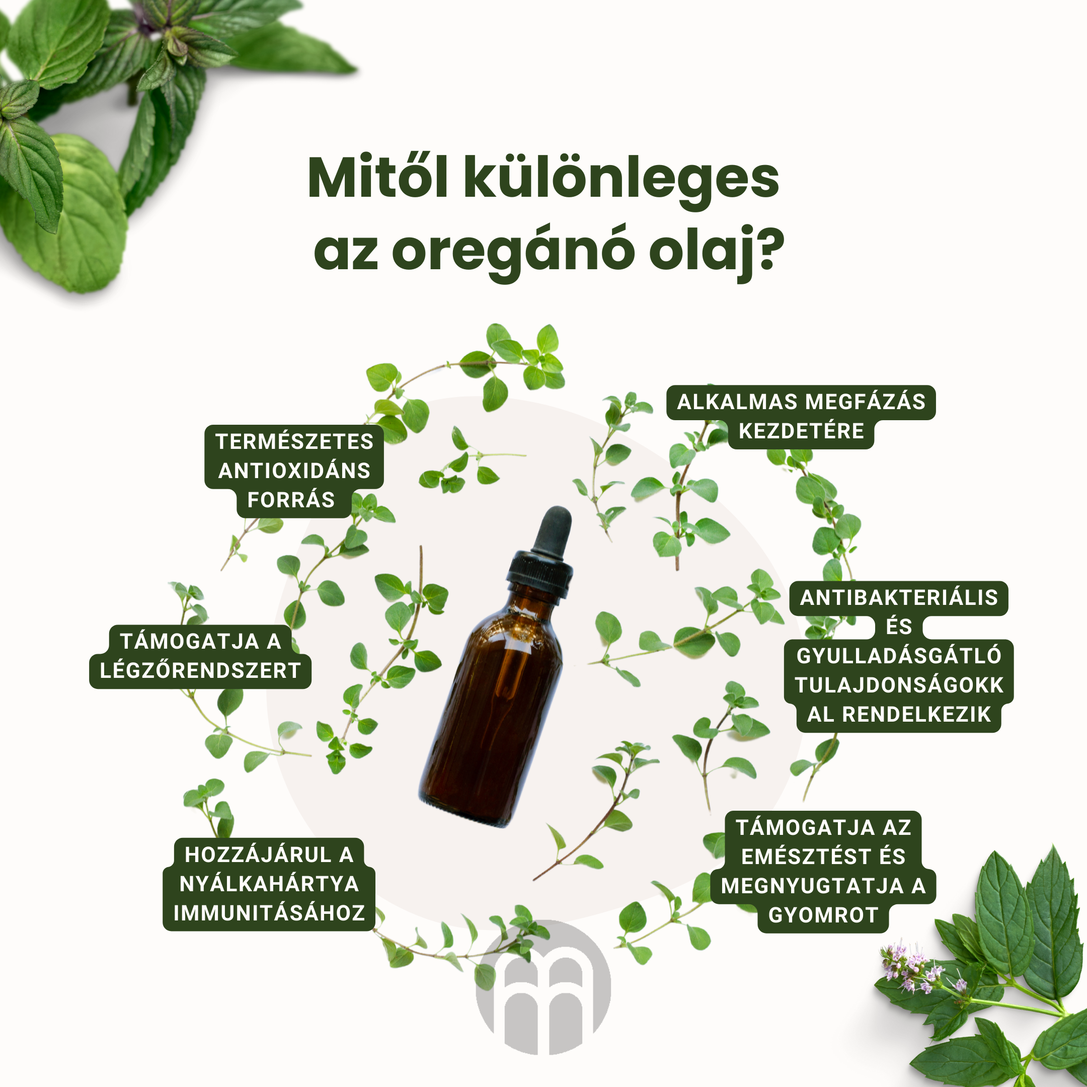 Az oregánóolaj és annak hatása az immunitásunkra