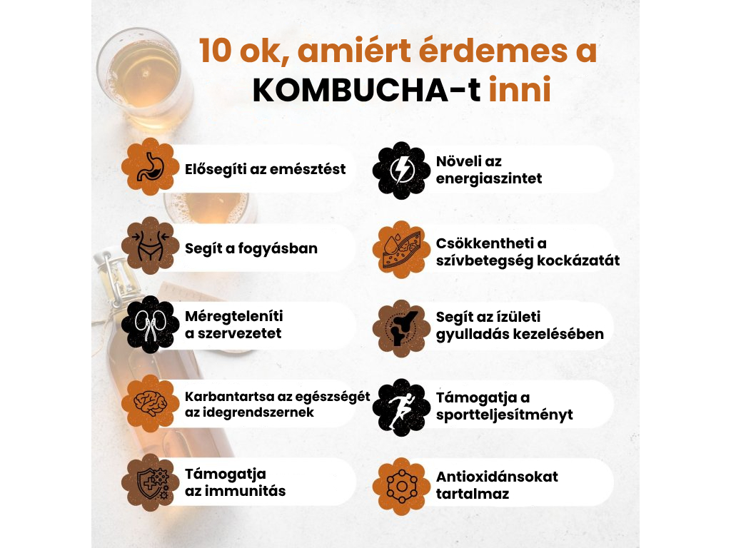 Kombucha – fermentált ital a jobb emésztésért és a bélrendszer egészségéért.