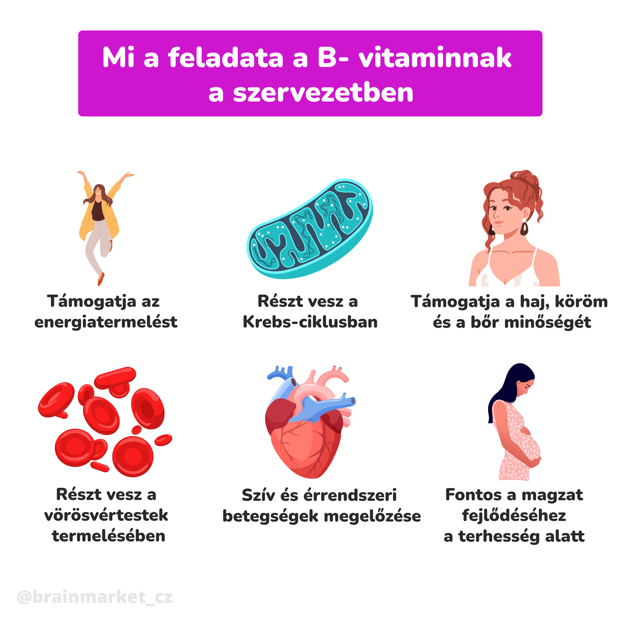 B komplex: Miért érdemes használni? Melyik B-vitamin a legjobb az Ön számára?