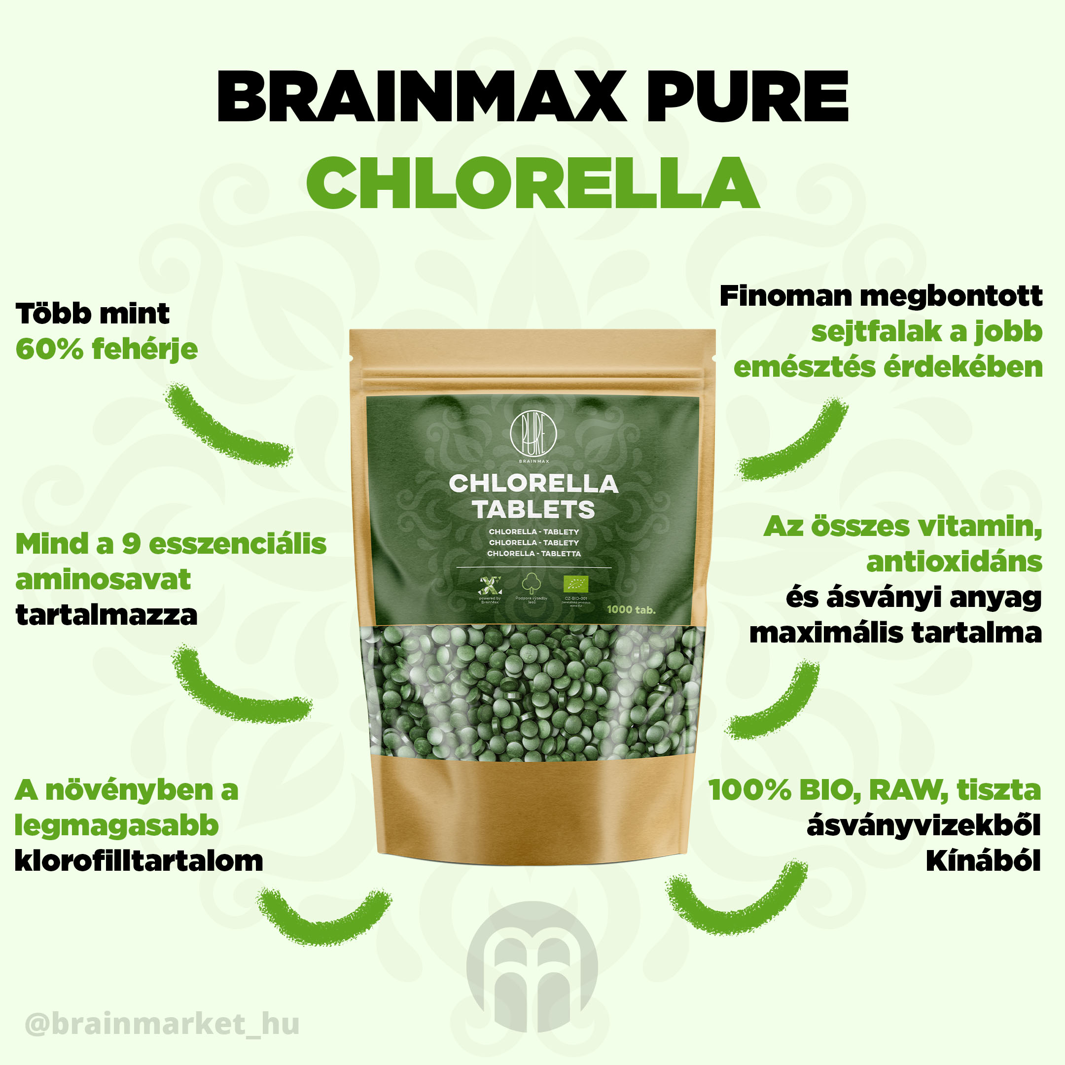 Chlorella – mit tartalmaz és milyen hatásai vannak?