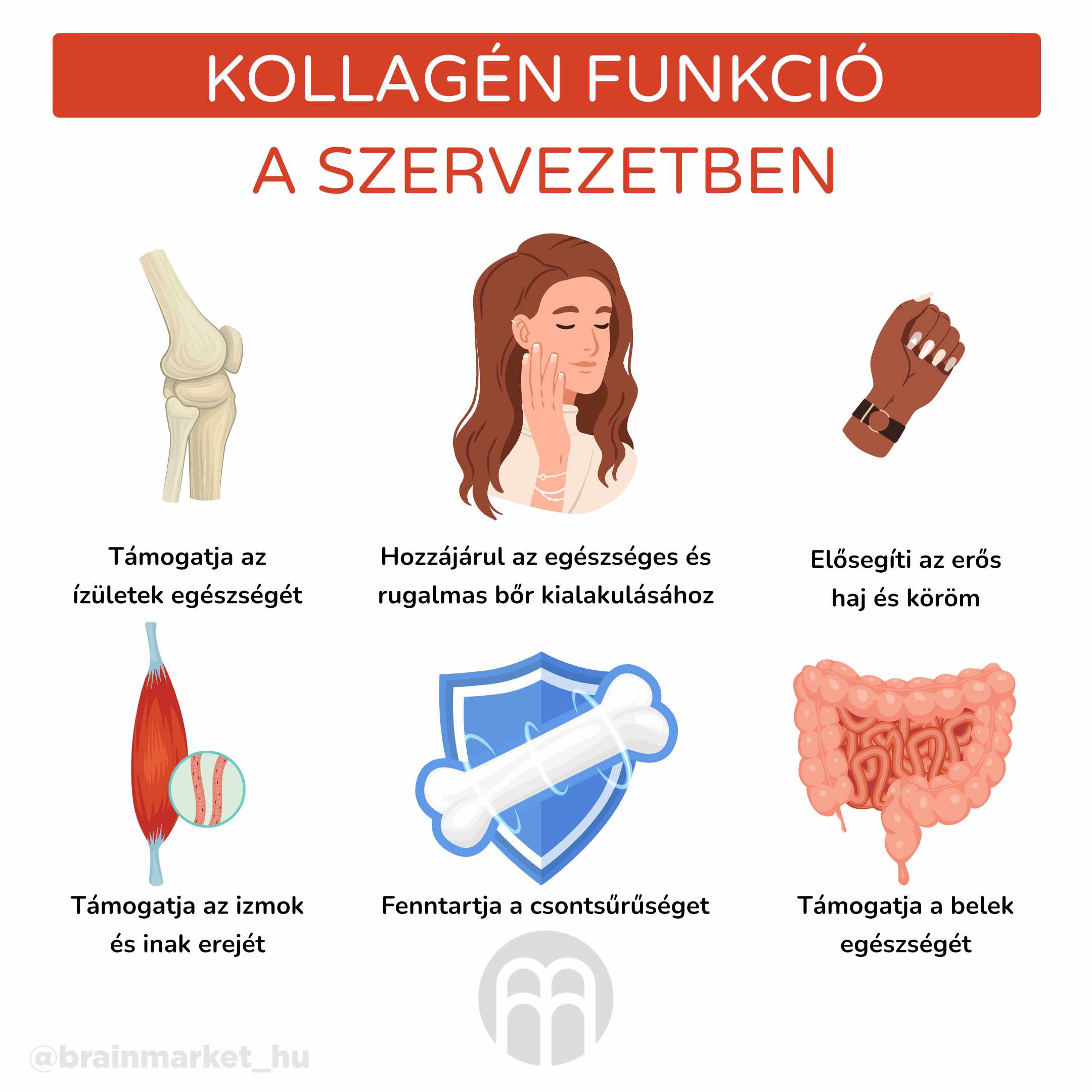 Tengeri vagy hal kollagén. Miért válassza a tengeri kollagént, és mikor adjon neki elsőbbséget a marhahús kollagénnel szemben?