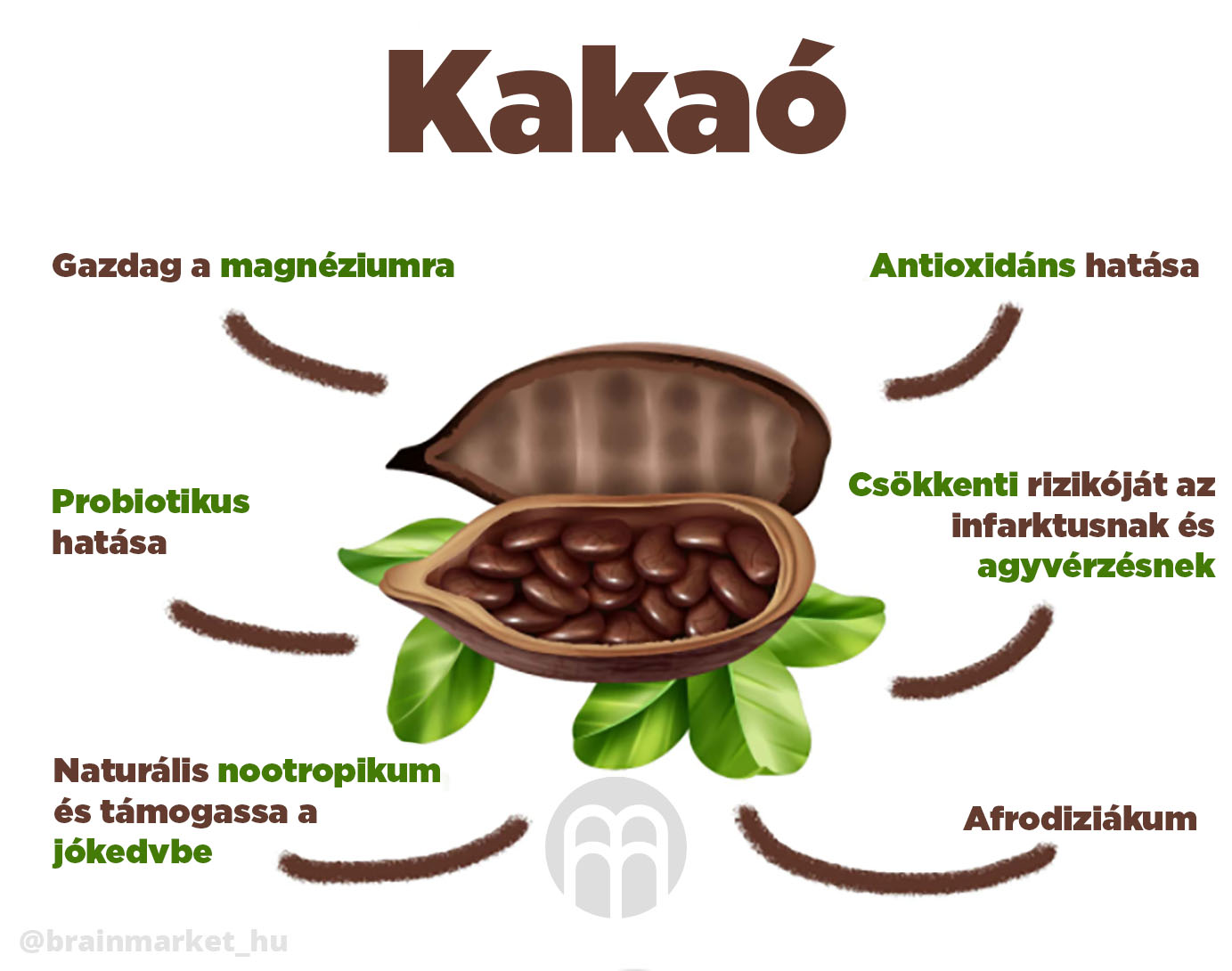 Cacao - Kakaó hatása