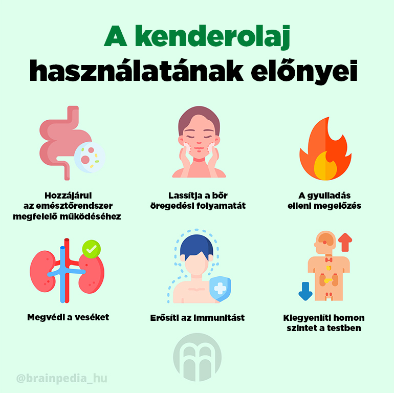 Kenderolaj - előnyei, hatásai és felhasználása a konyhában