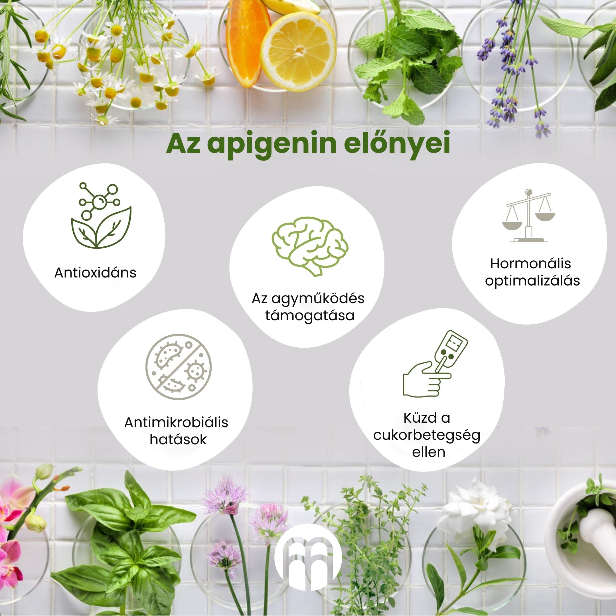 Apigenin: a legtöbbet tanulmányozott flavonoid a növényvilágban