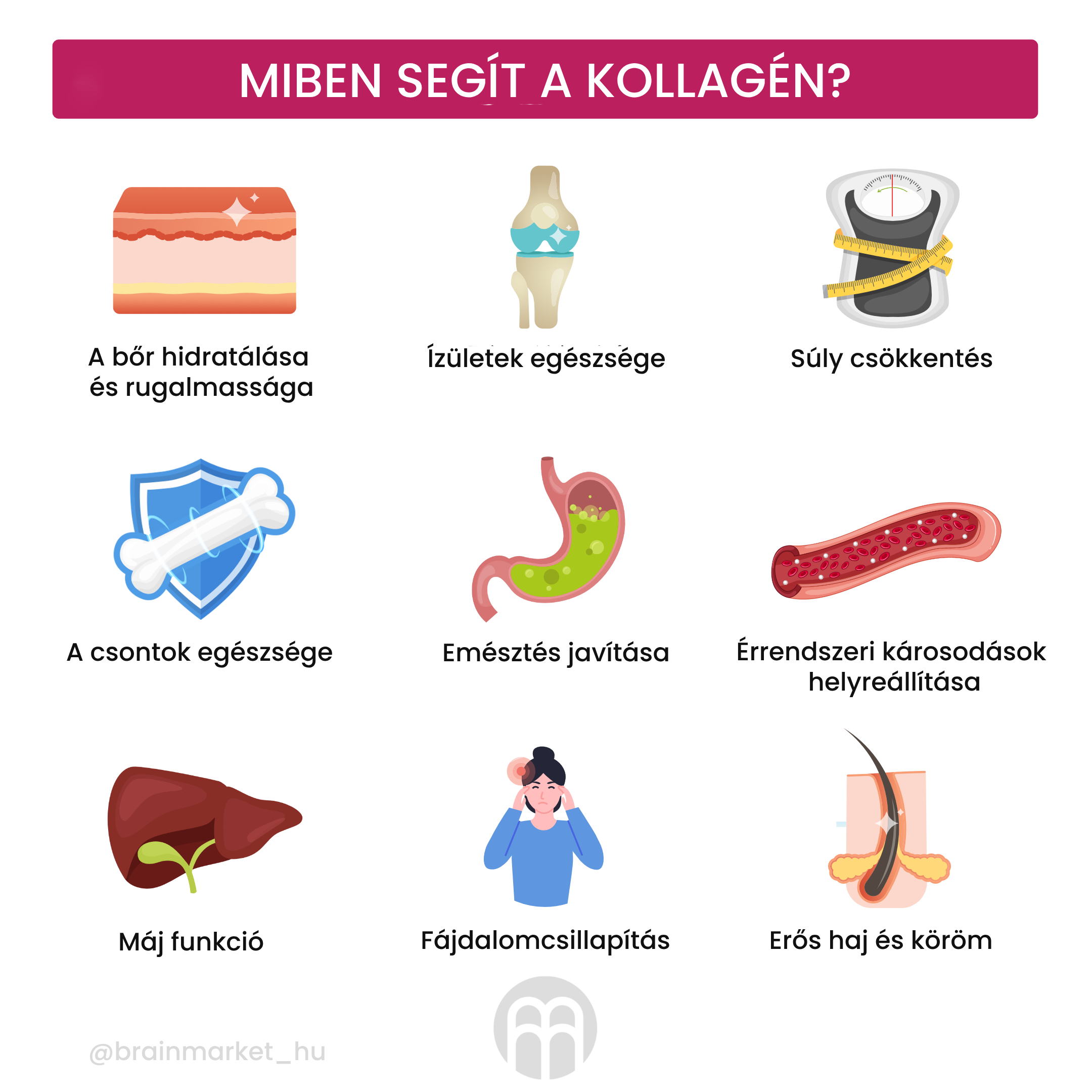 A kollagén és hatásai