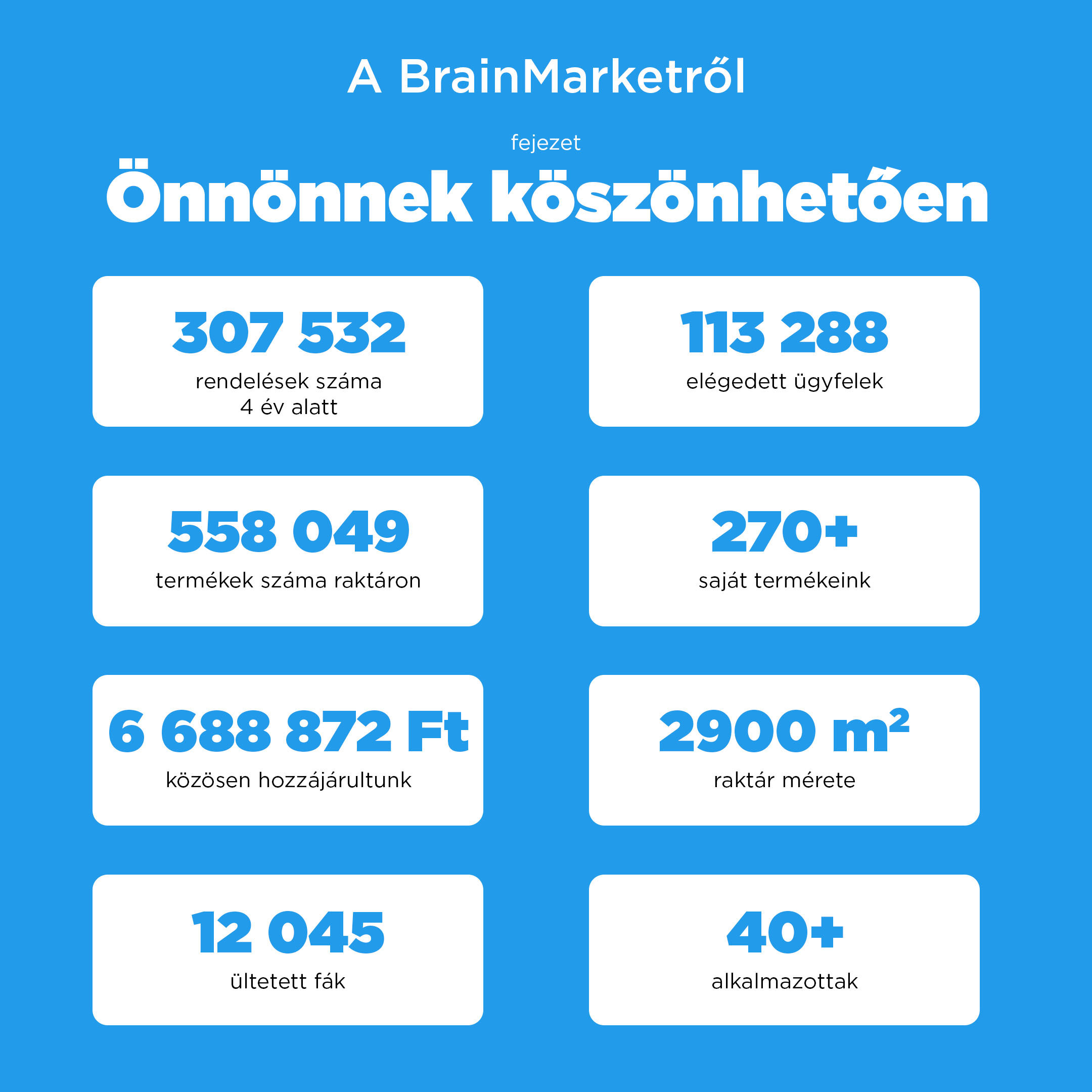 A BrainMarket története a kezdetektől napjainkig