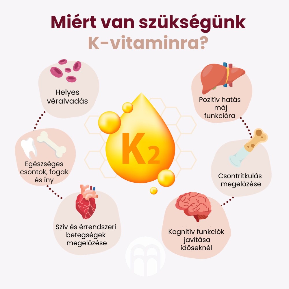 Miért van szükségünk a K2-vitaminra és milyen formái vannak? A csontok és az érrendszer egészsége.