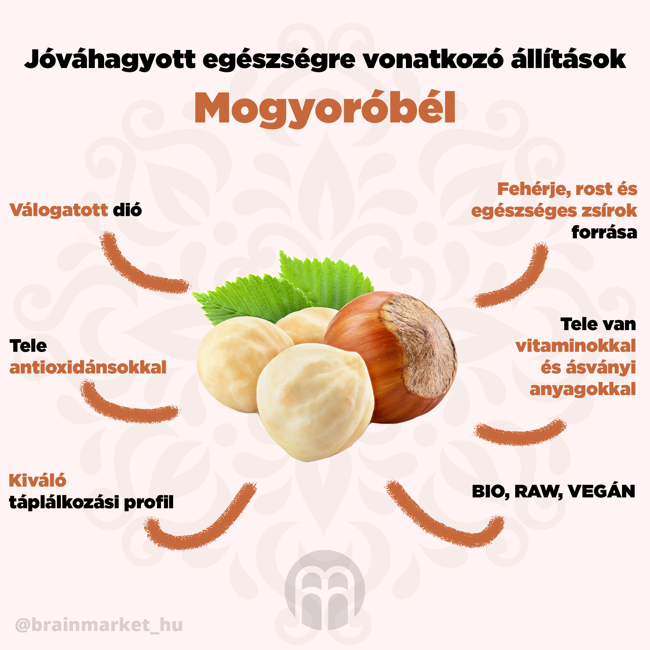Mogyoróbél - török mogyoró