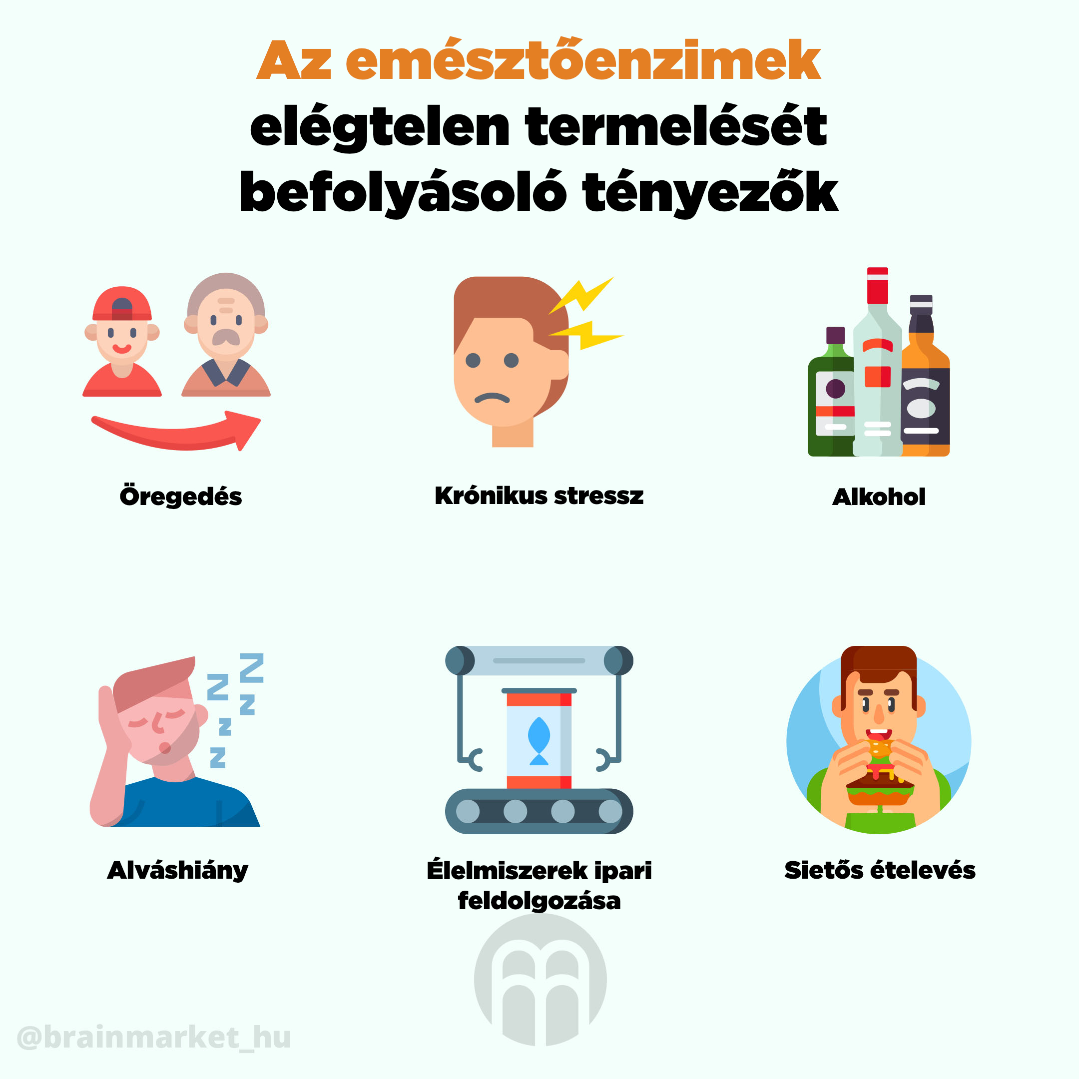 Röviden az emésztőenzimekről