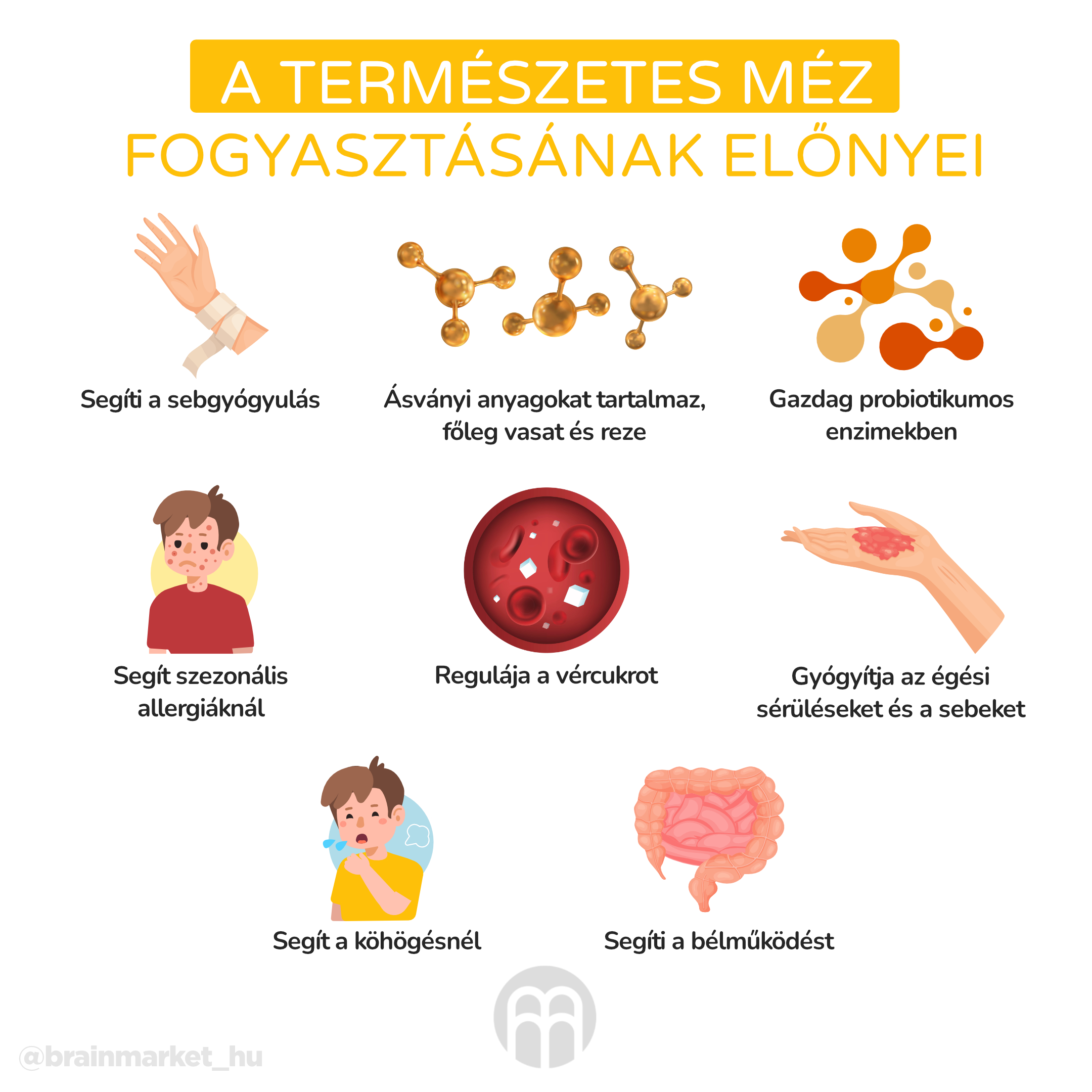 A méz hatása a szervezetre. Hogyan válasszunk minőségi mézet?