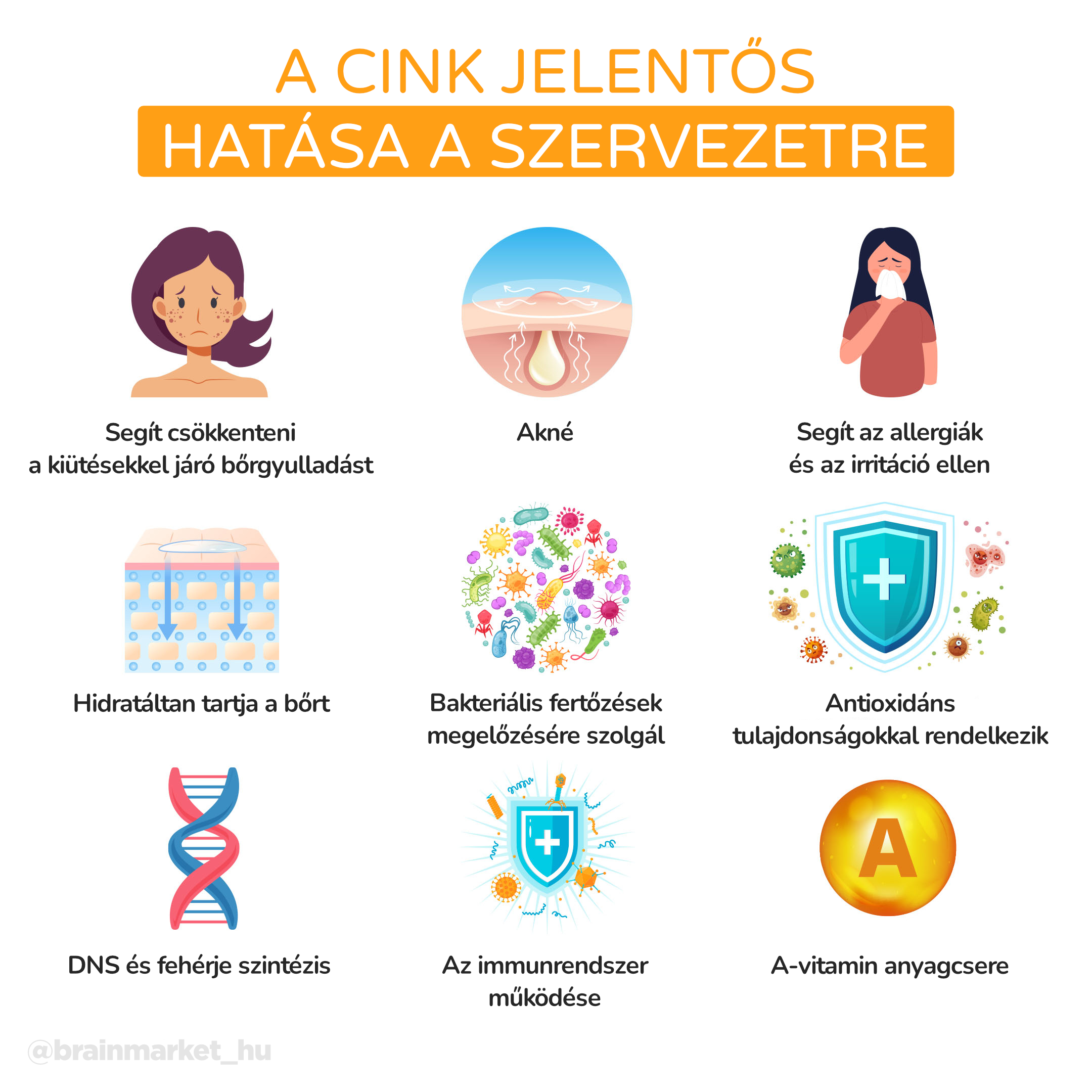 A cink hatása a szervezetre