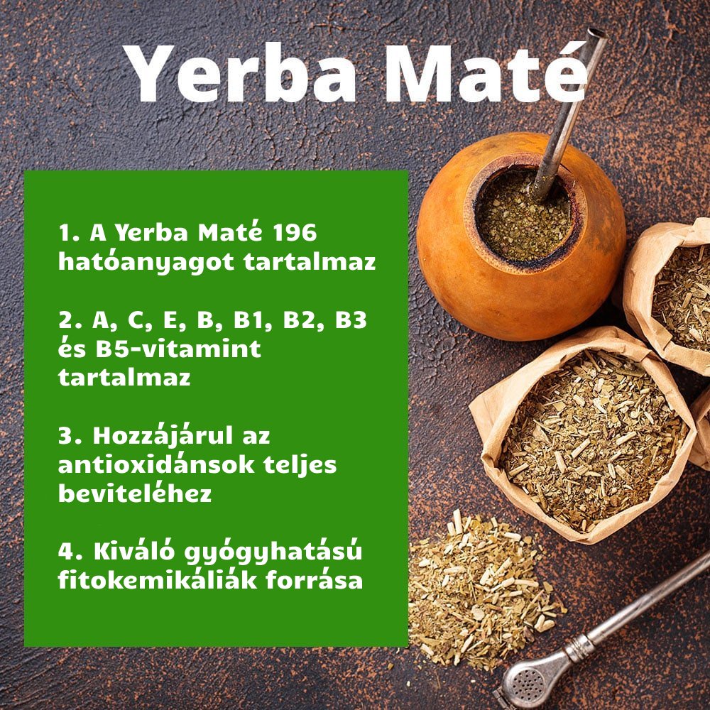 Yerba mate - az energia hulláma és a vitalitás forrása