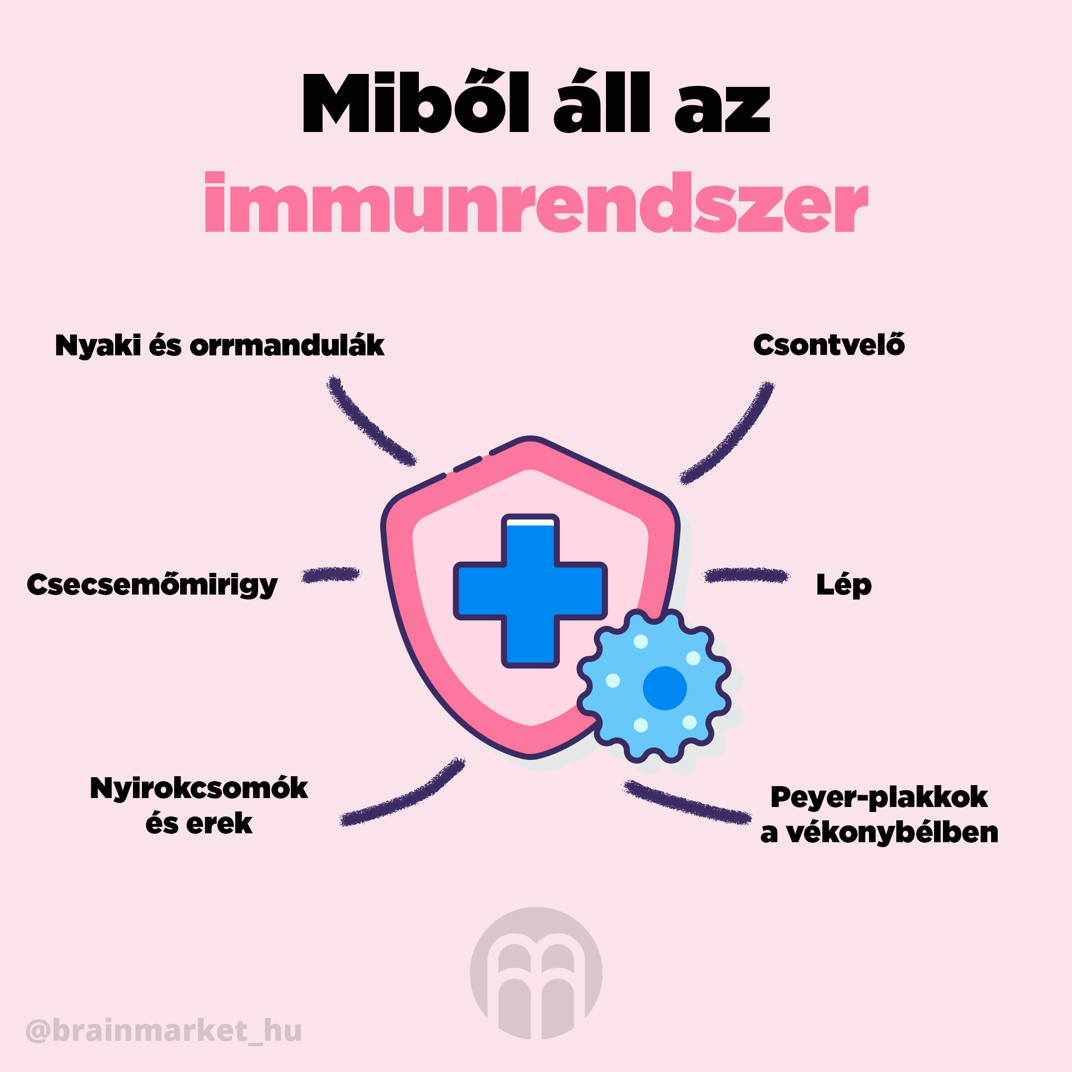 Hogyan támogassuk a gyermekek immunitását?