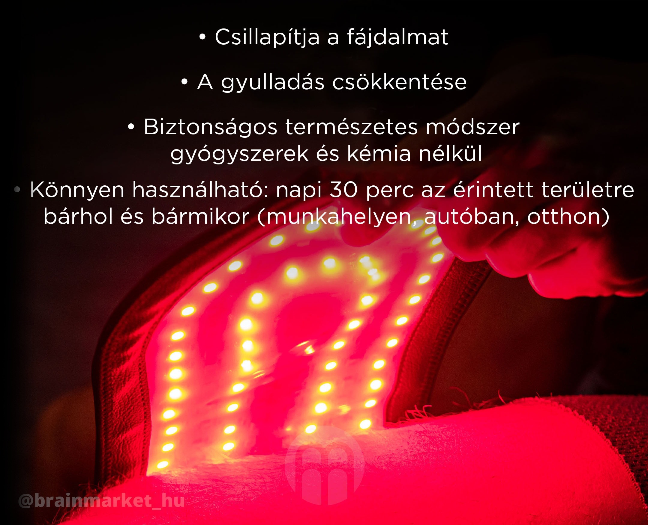 blight-recoverry-belt-infografika-brainmarket-ucinky_huTM