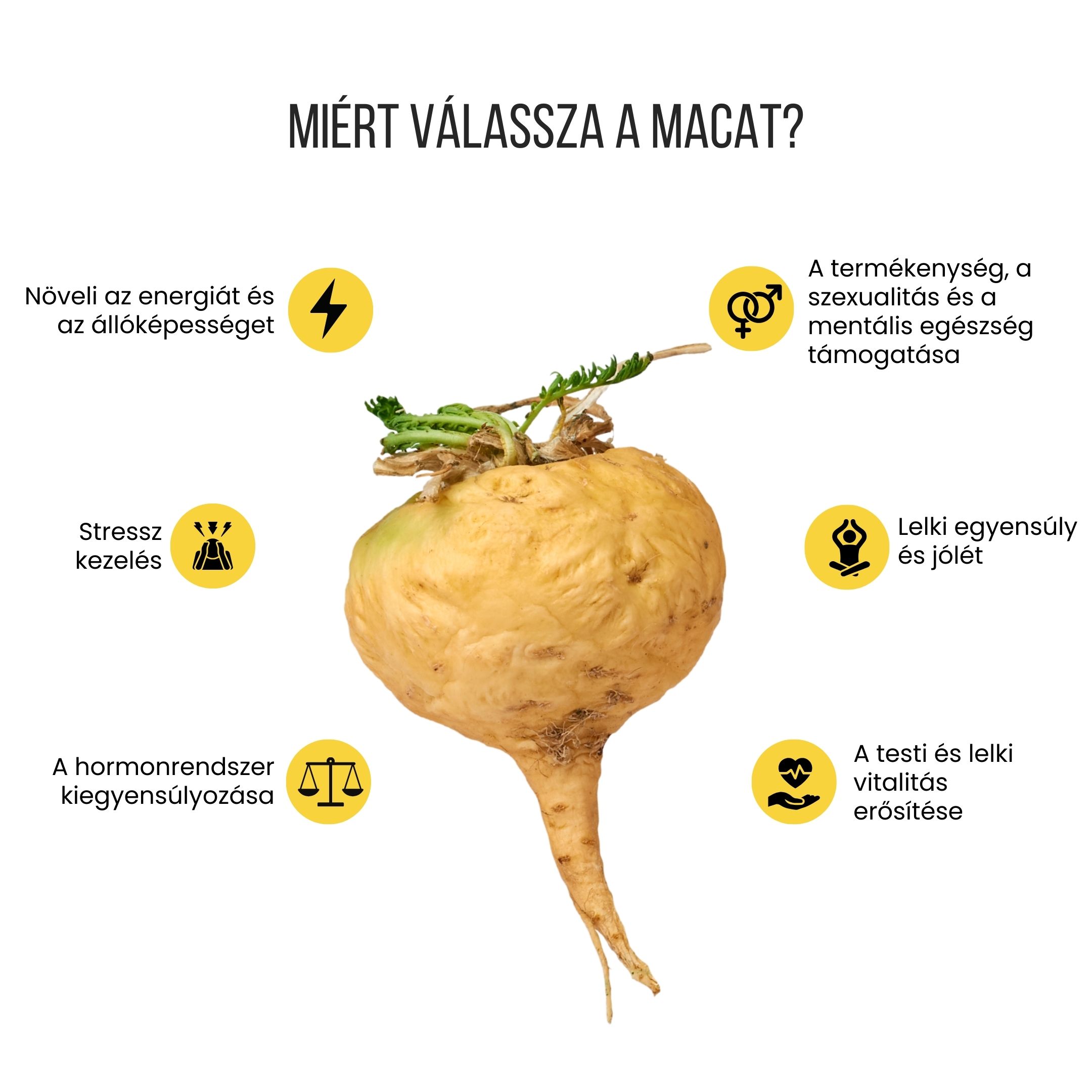 (Maďarština)_4