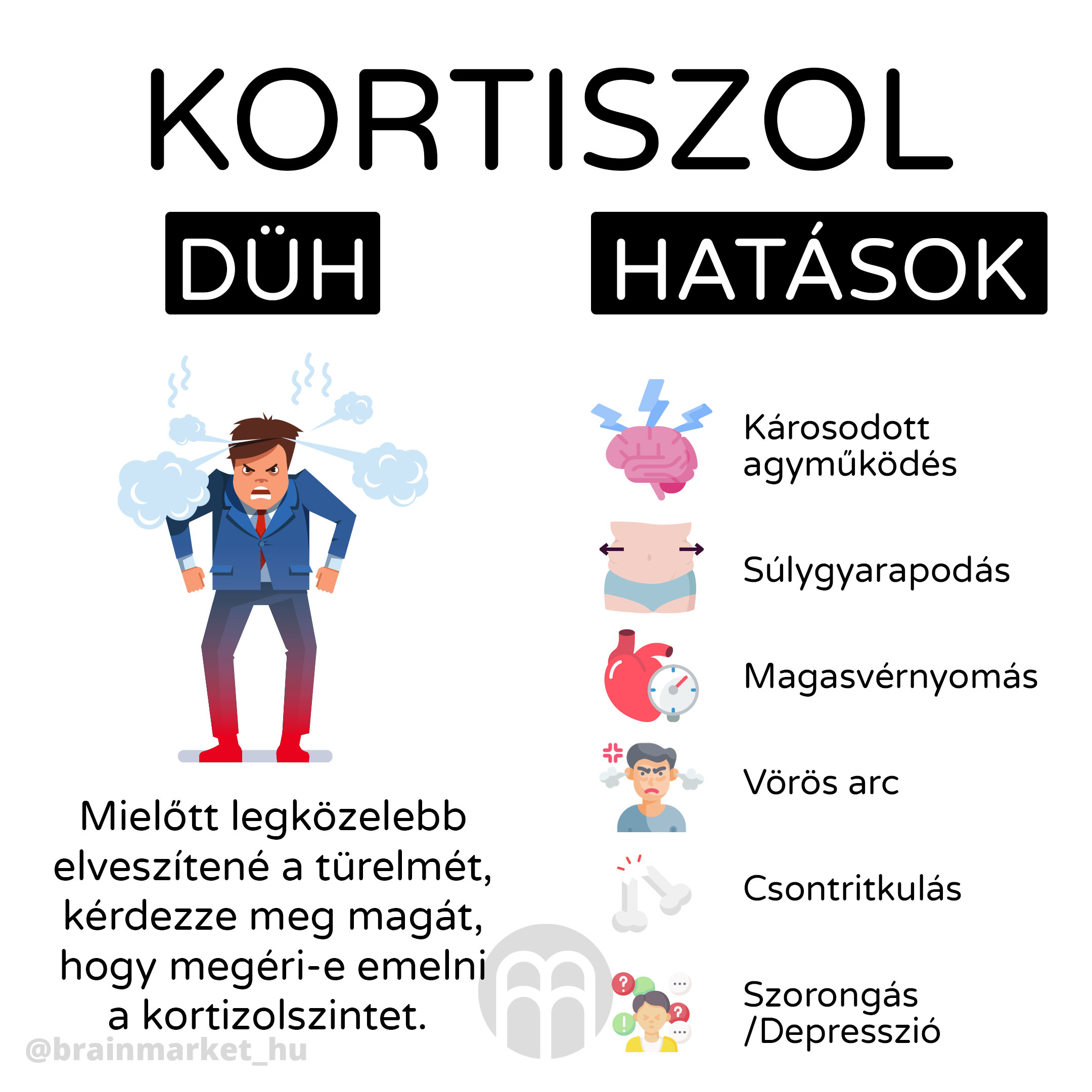 kortizol_infografika_brainmarket_hu