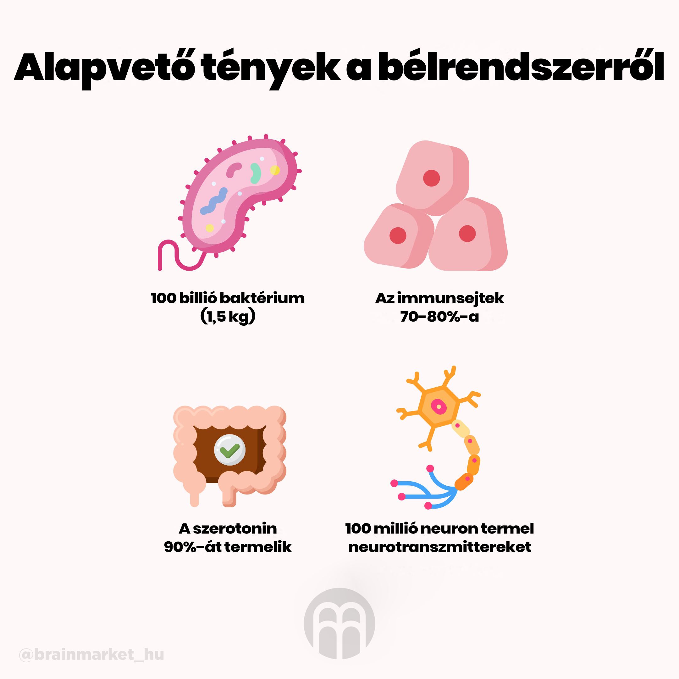 co-ridi-strevo-brainmarket-infografika-hu