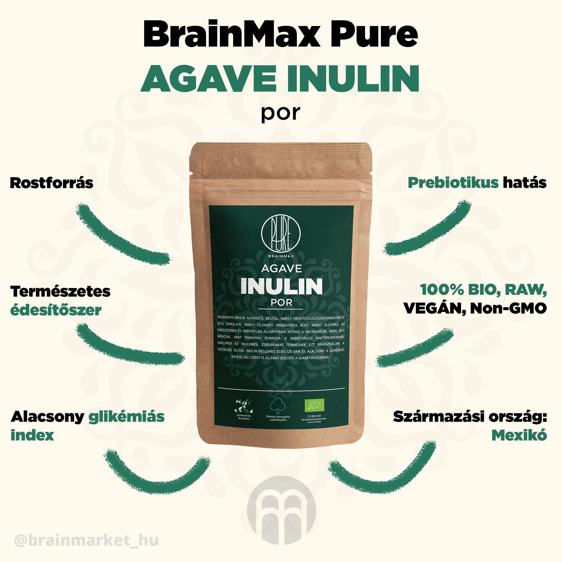 agave_inulin_pavucina_infografika_brainmarket_hu