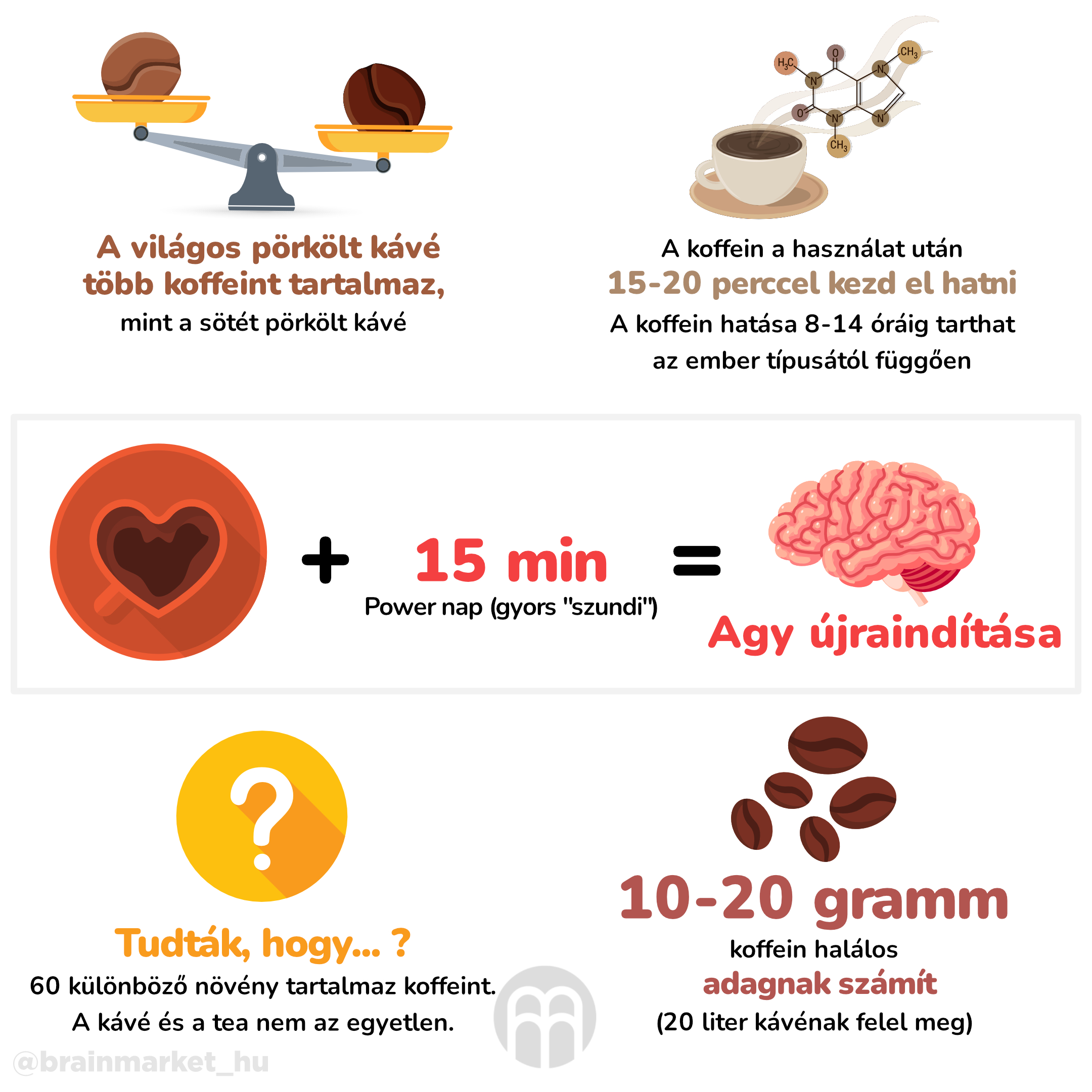 kava_infografika_hu