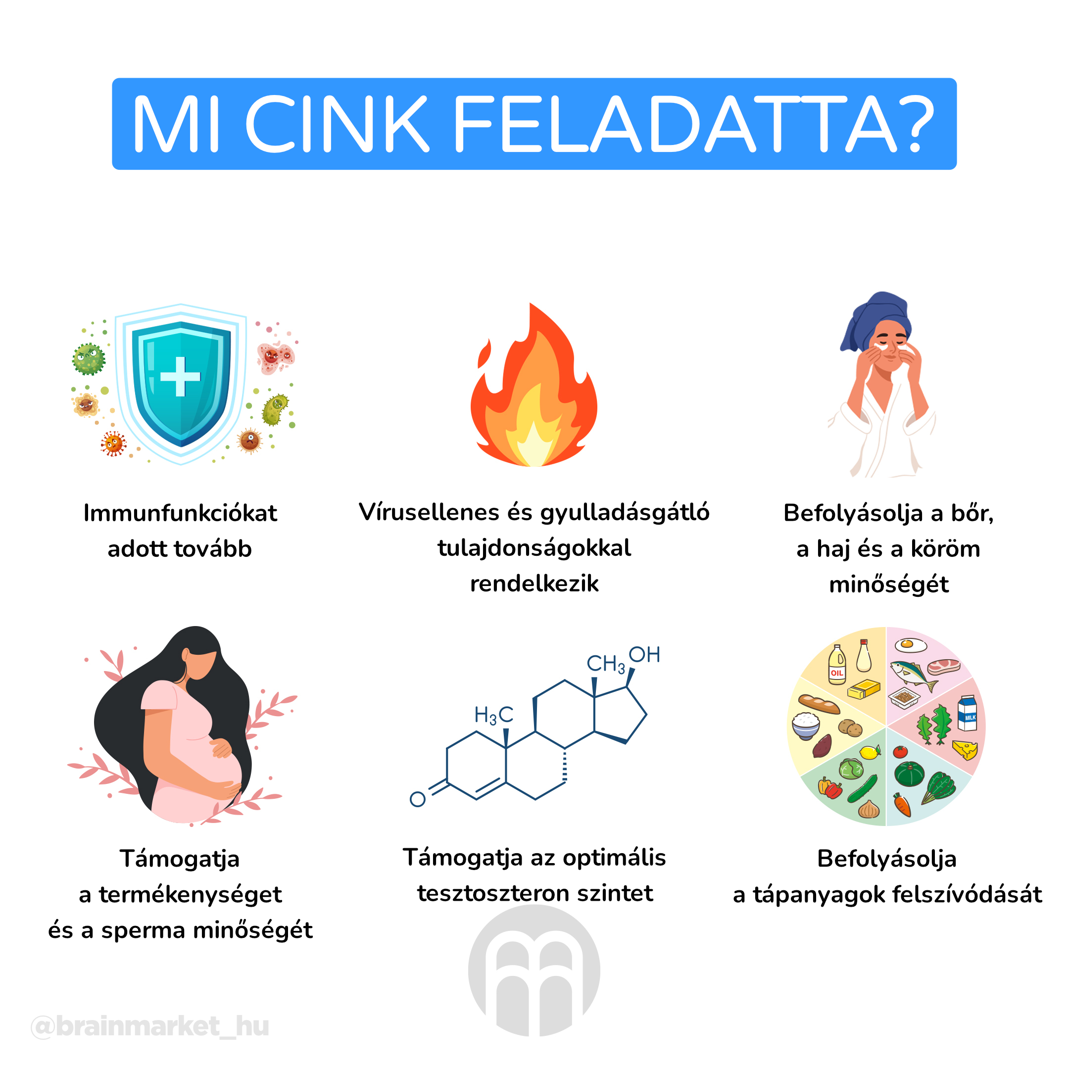 zinek_infografika_brainmarket_hu