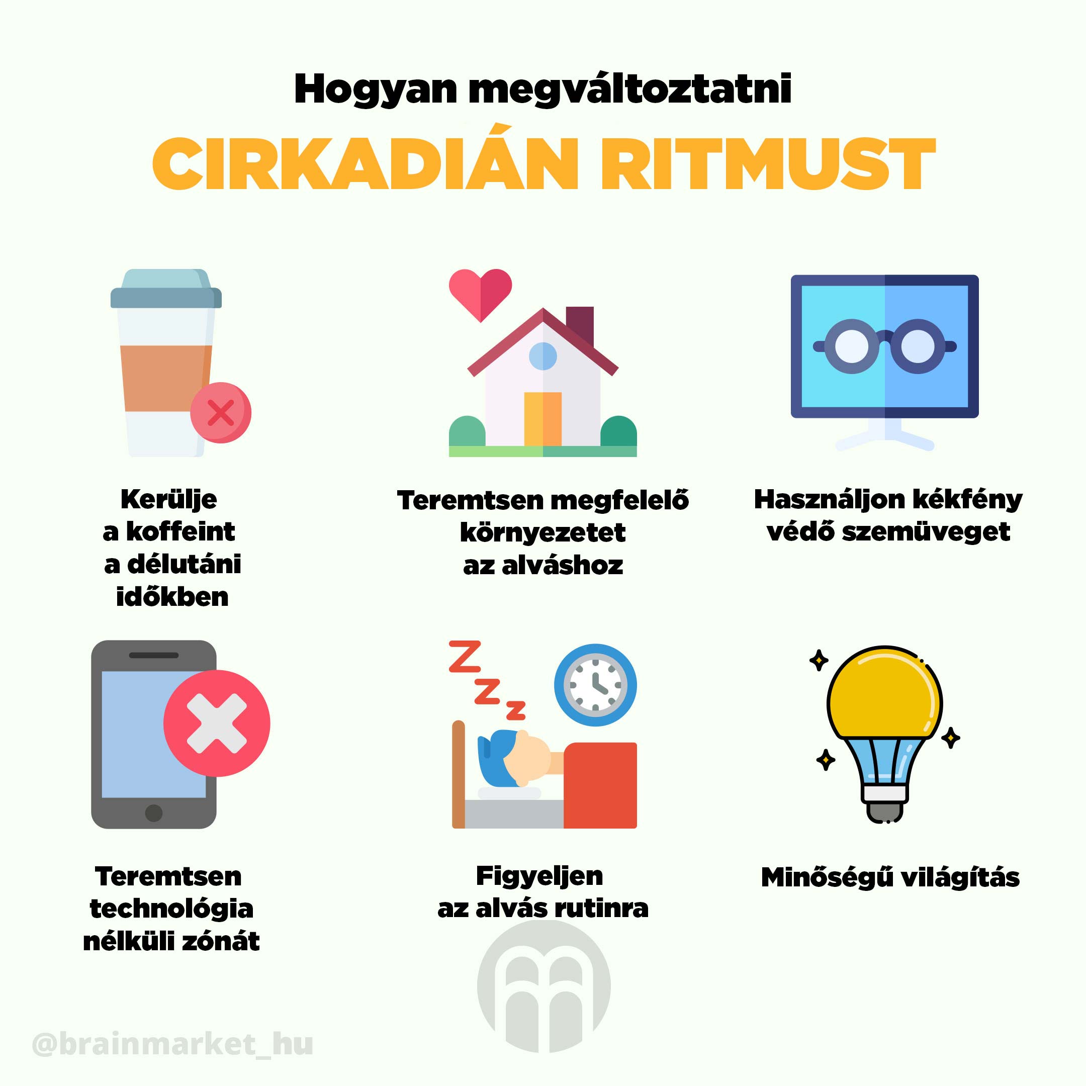 cirkadialni_rytmus_infografika_brainmarket_hu