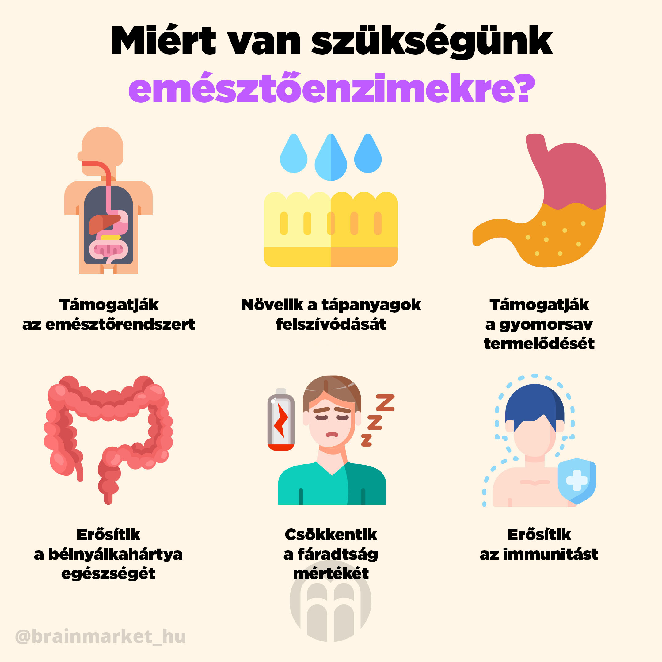 proc-potrebujeme-enzymy-infografika-brainmarket-hu