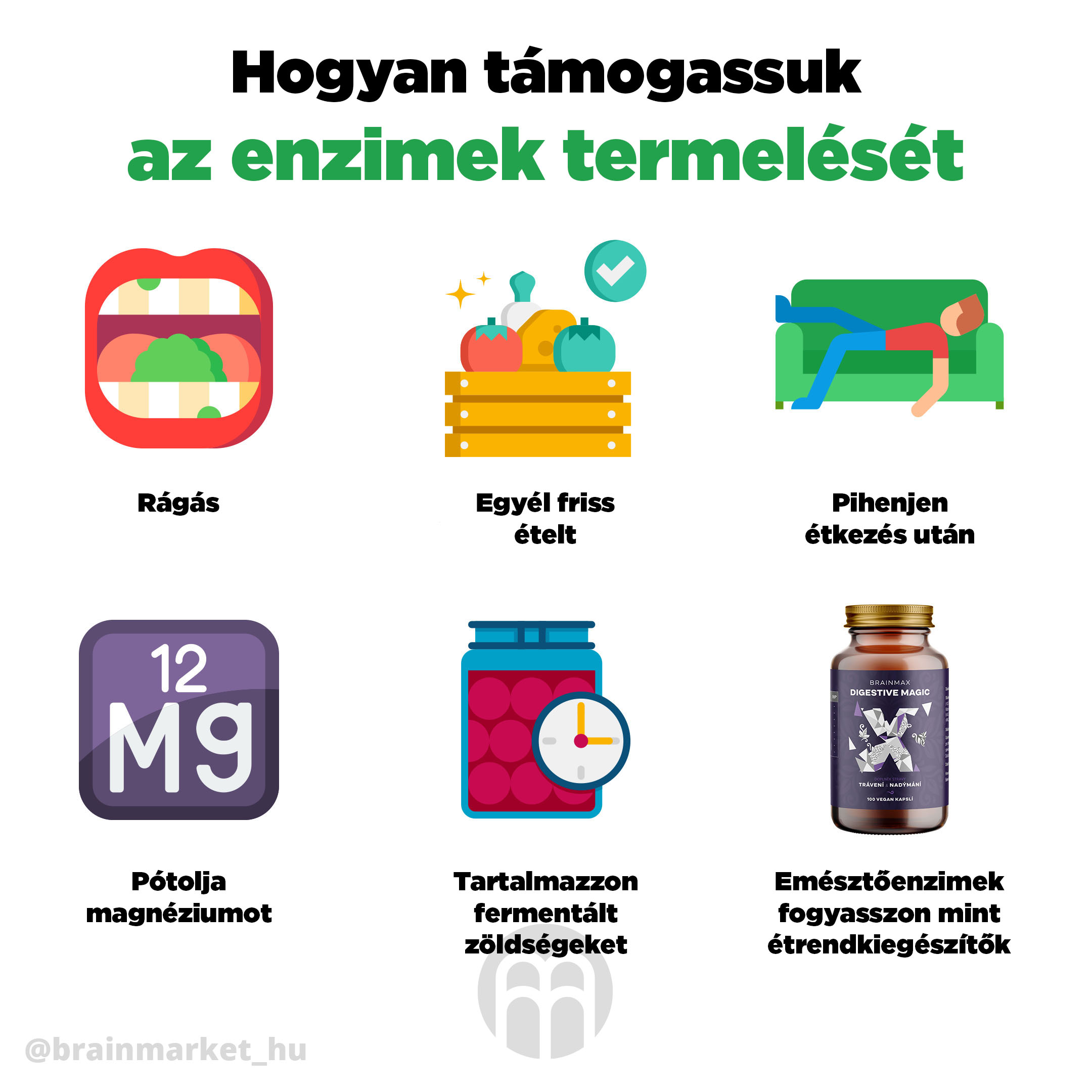 produkci-enzymu-infografika-brainmarket-hu