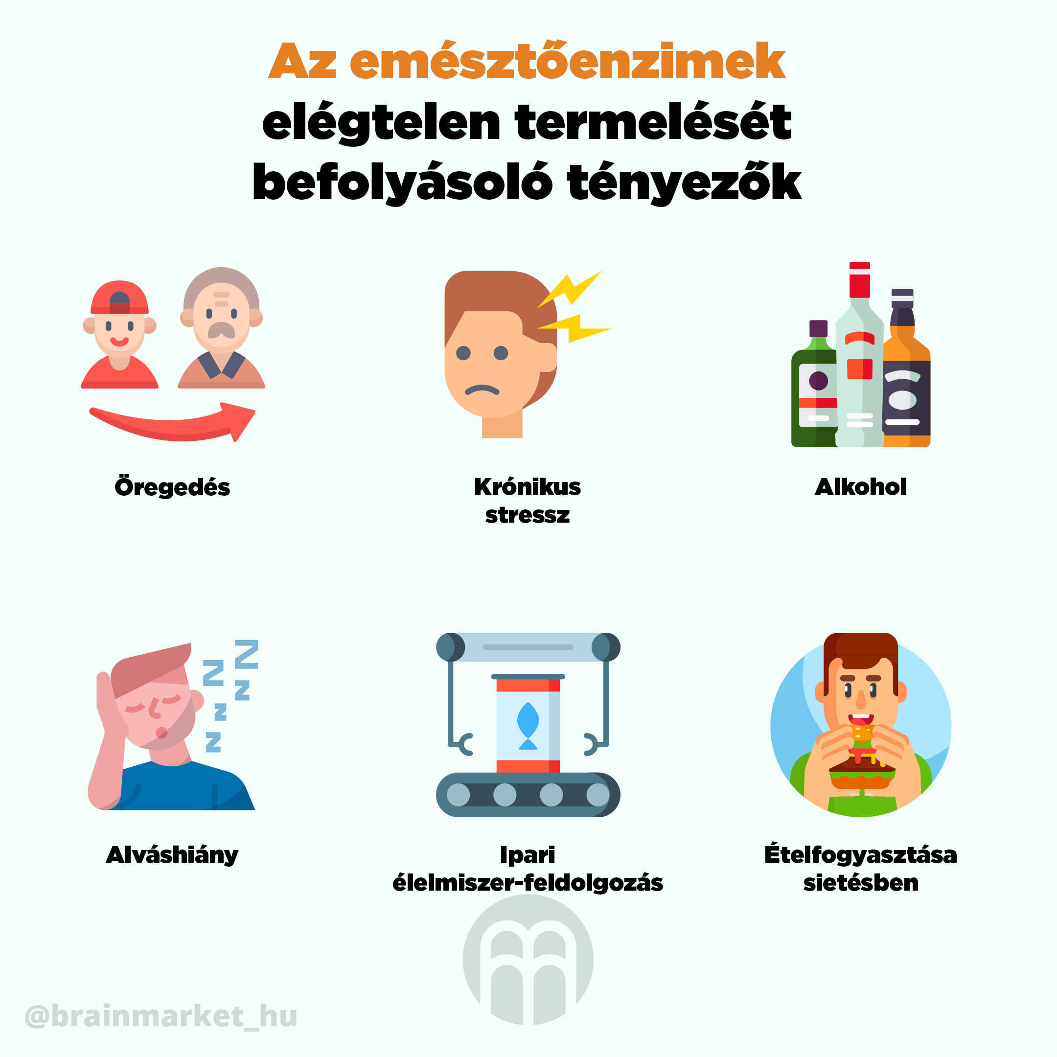 travici-enzymy-infografika-brainmarket-hu