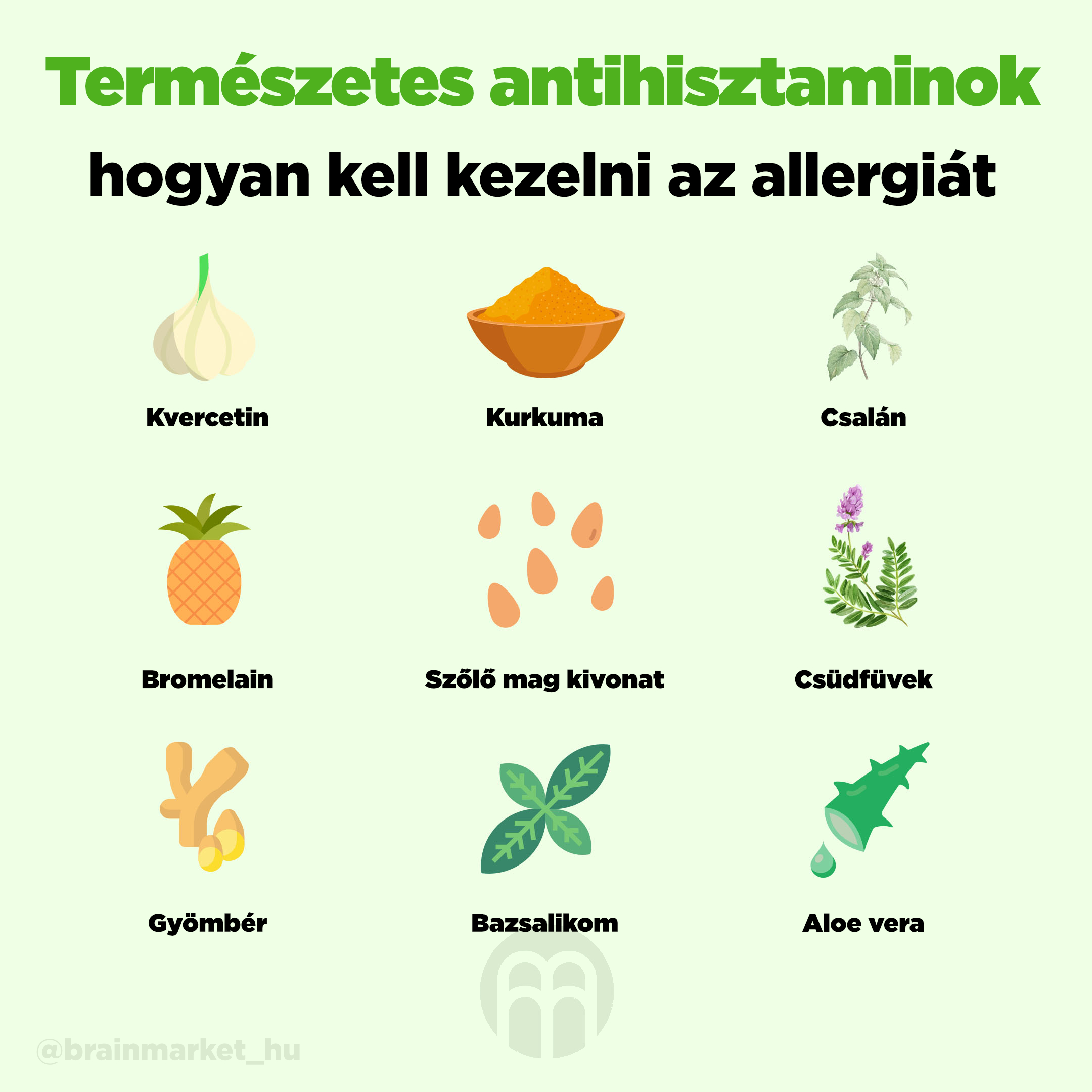 prirodni_antihistaminika_infografika_hu