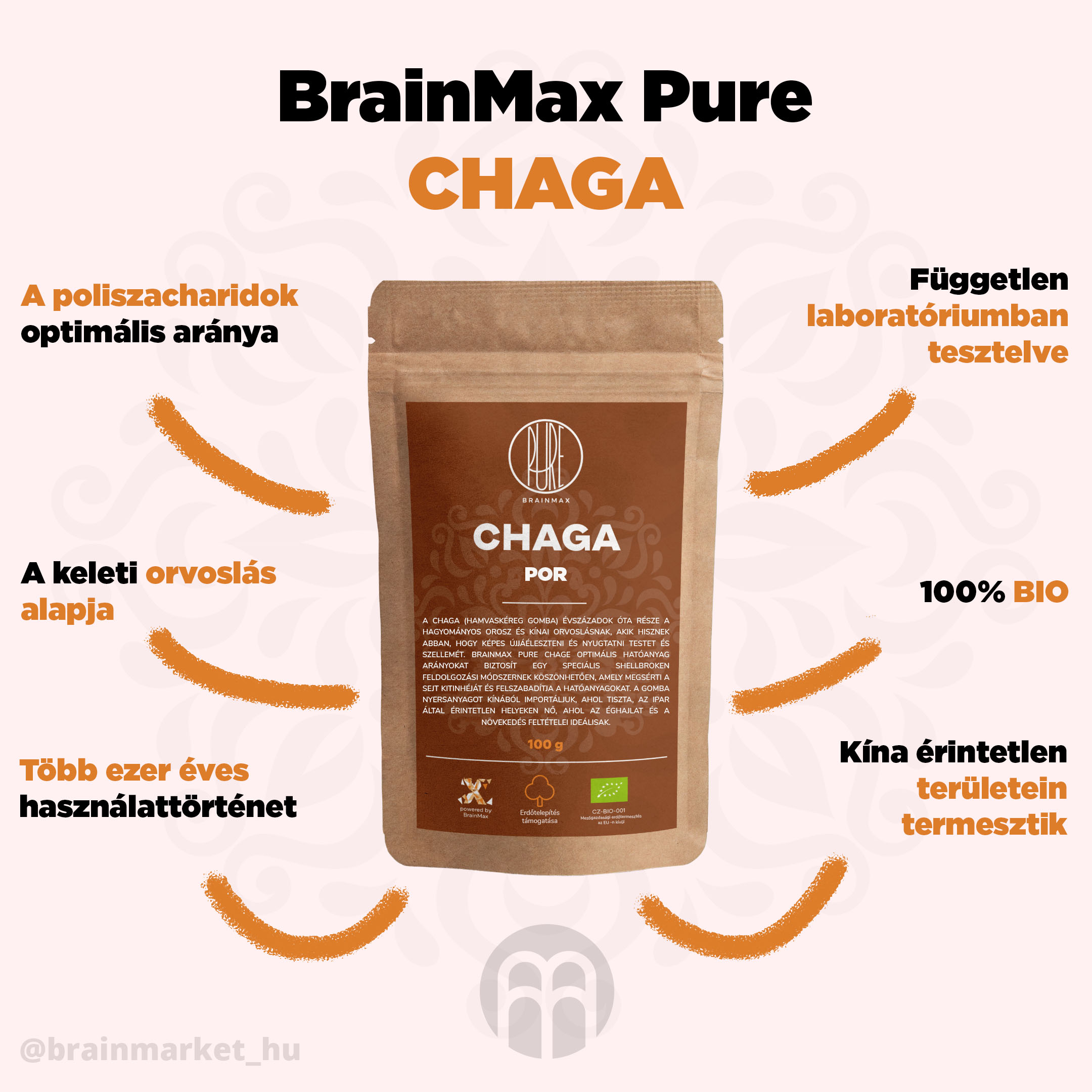 CHAGA_prasek_infografika_brainmarket_hu