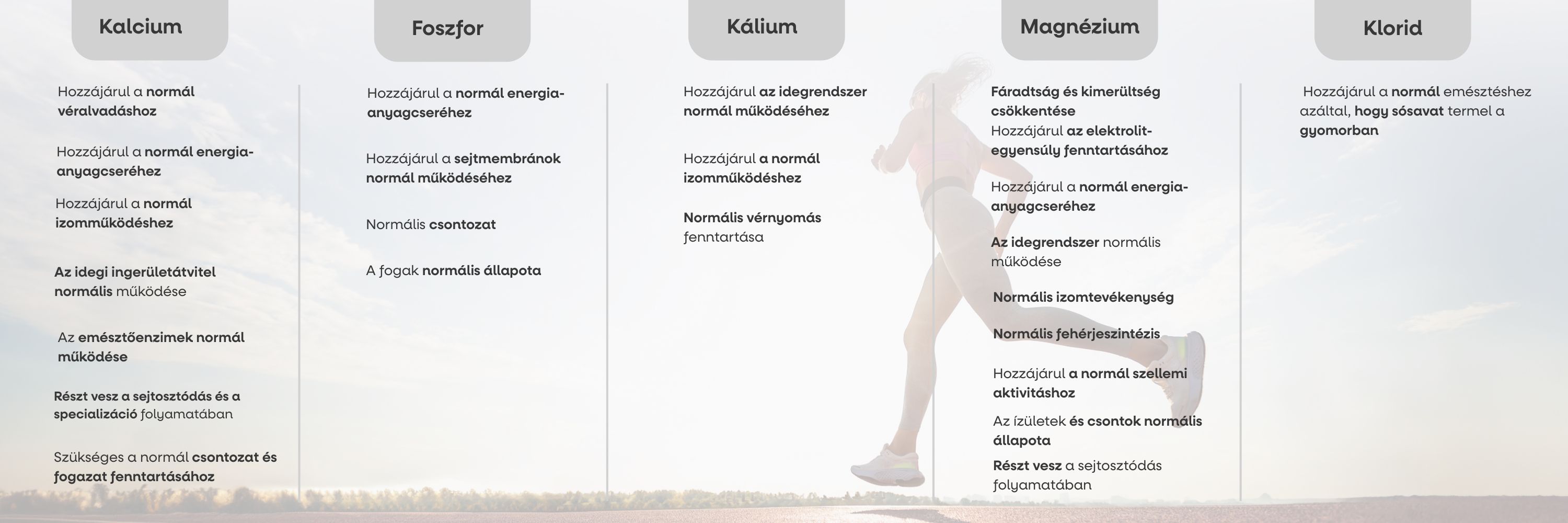 Performance Amino Electrolytes Complex, EAA + Elektrolyty