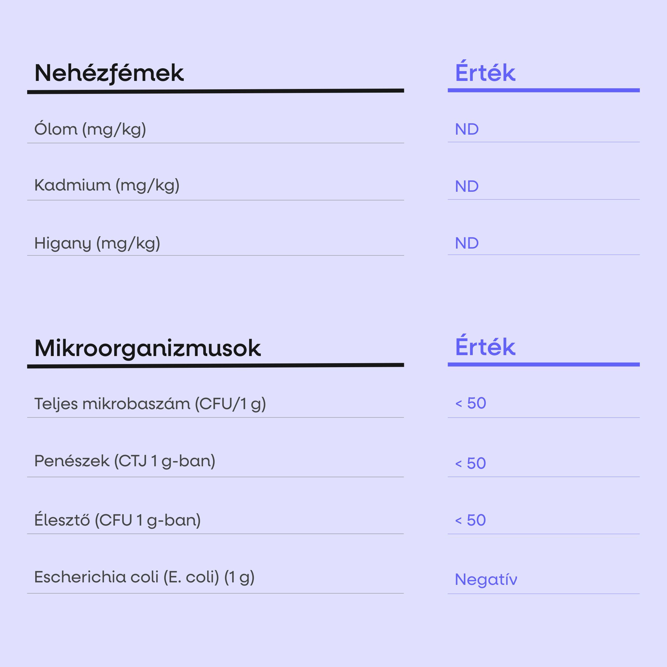 (Maďarština) - 2025-08-05T101722.733