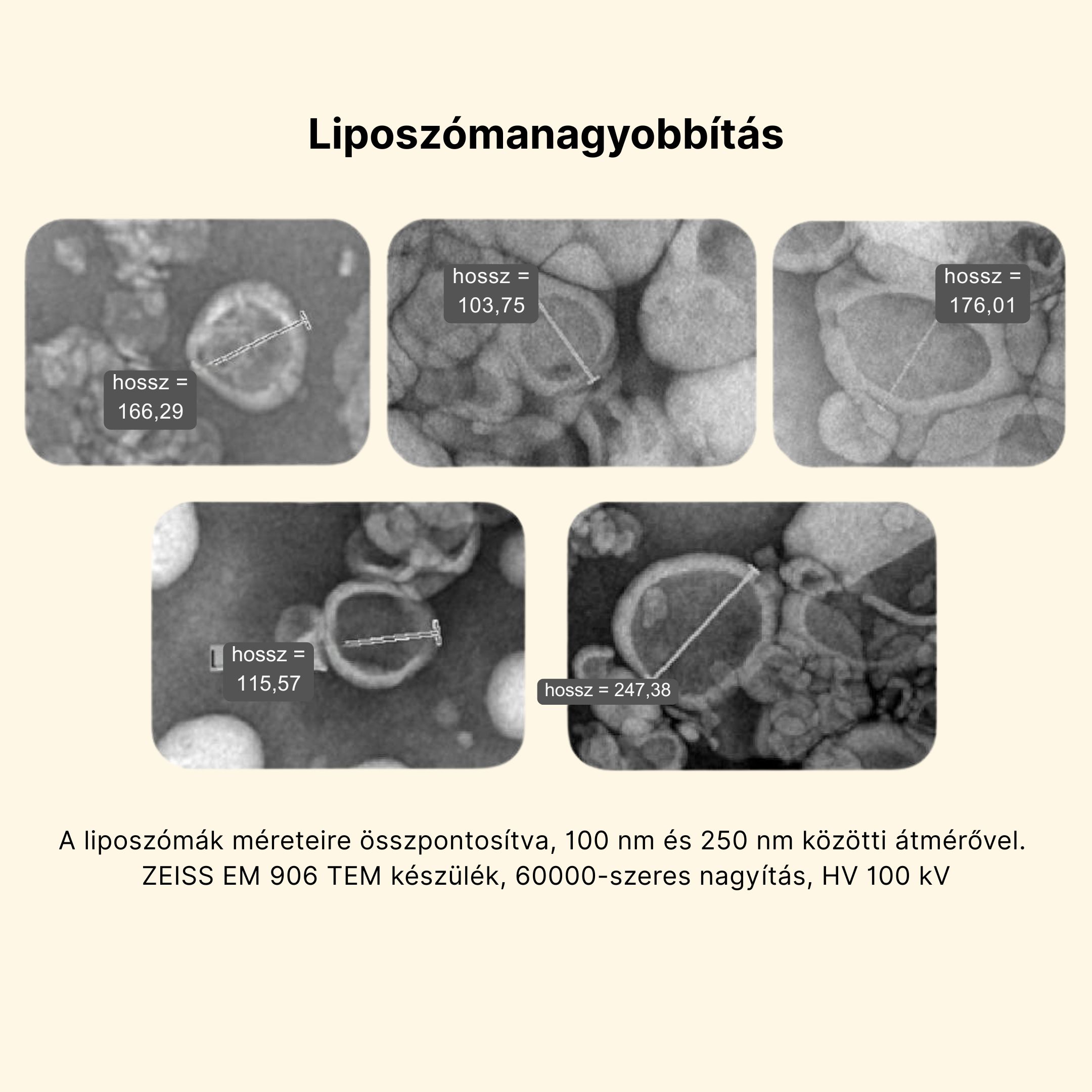 delka-liposoma.jpg