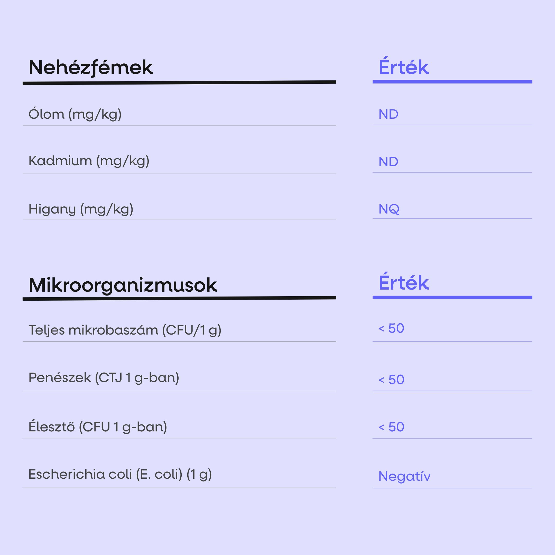 (Maďarština) - 2025-08-20T102026.009