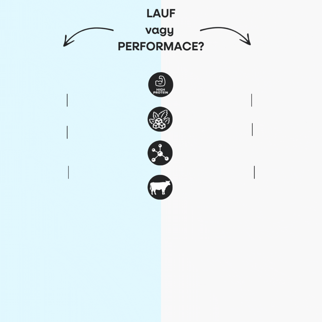 LAUF x Performance (1)