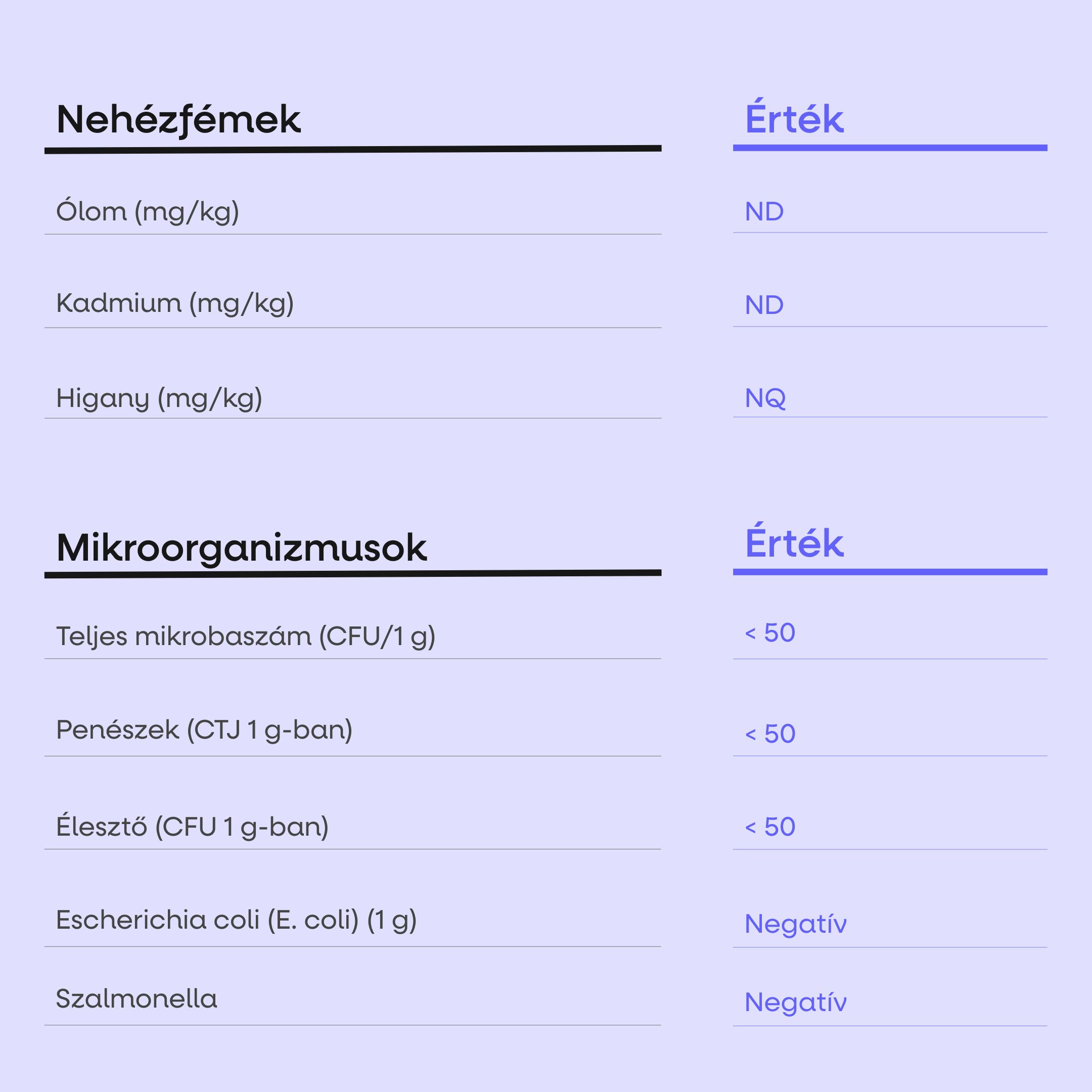 (Maďarština) - 2025-08-19T124540.555