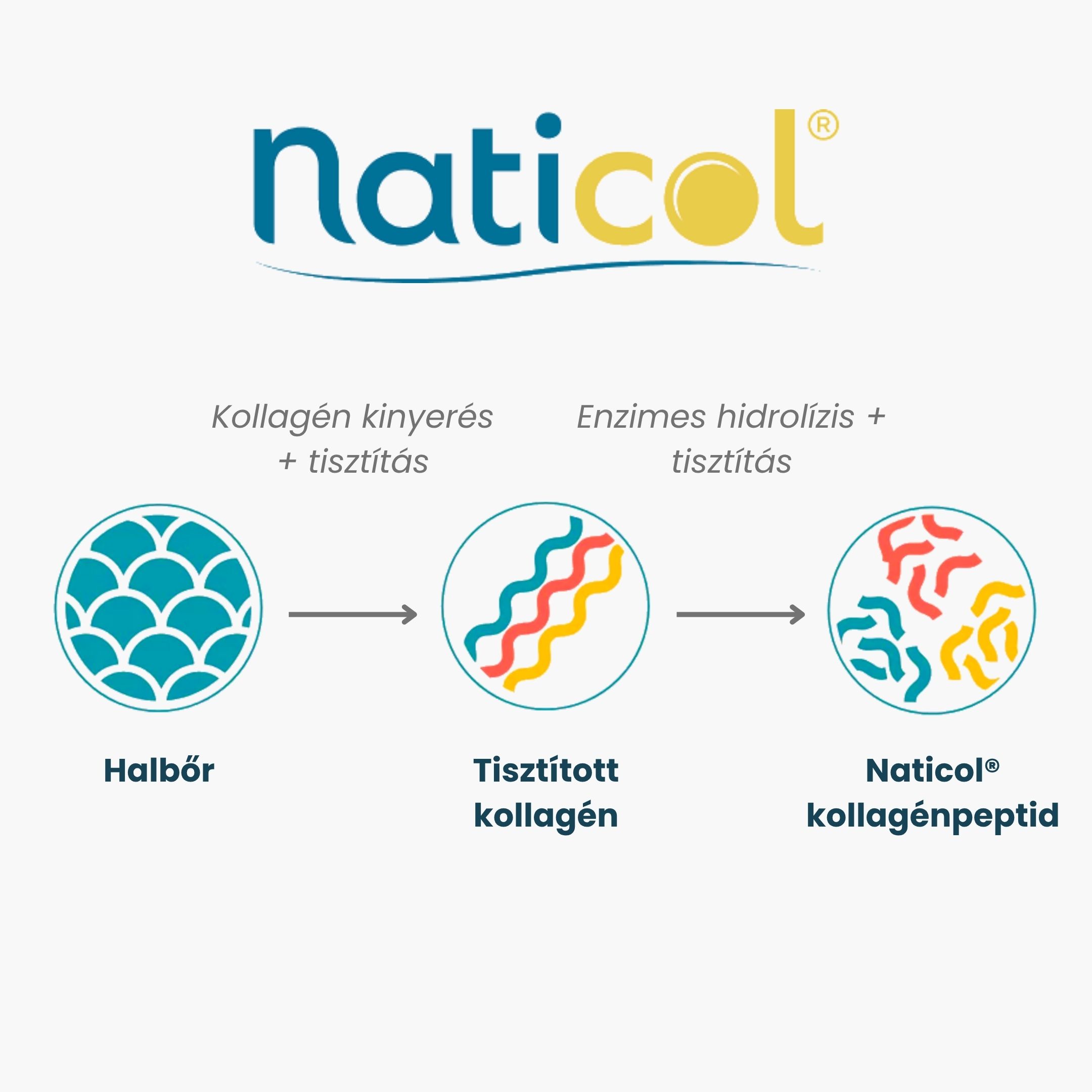 (Maďarština) Naticol