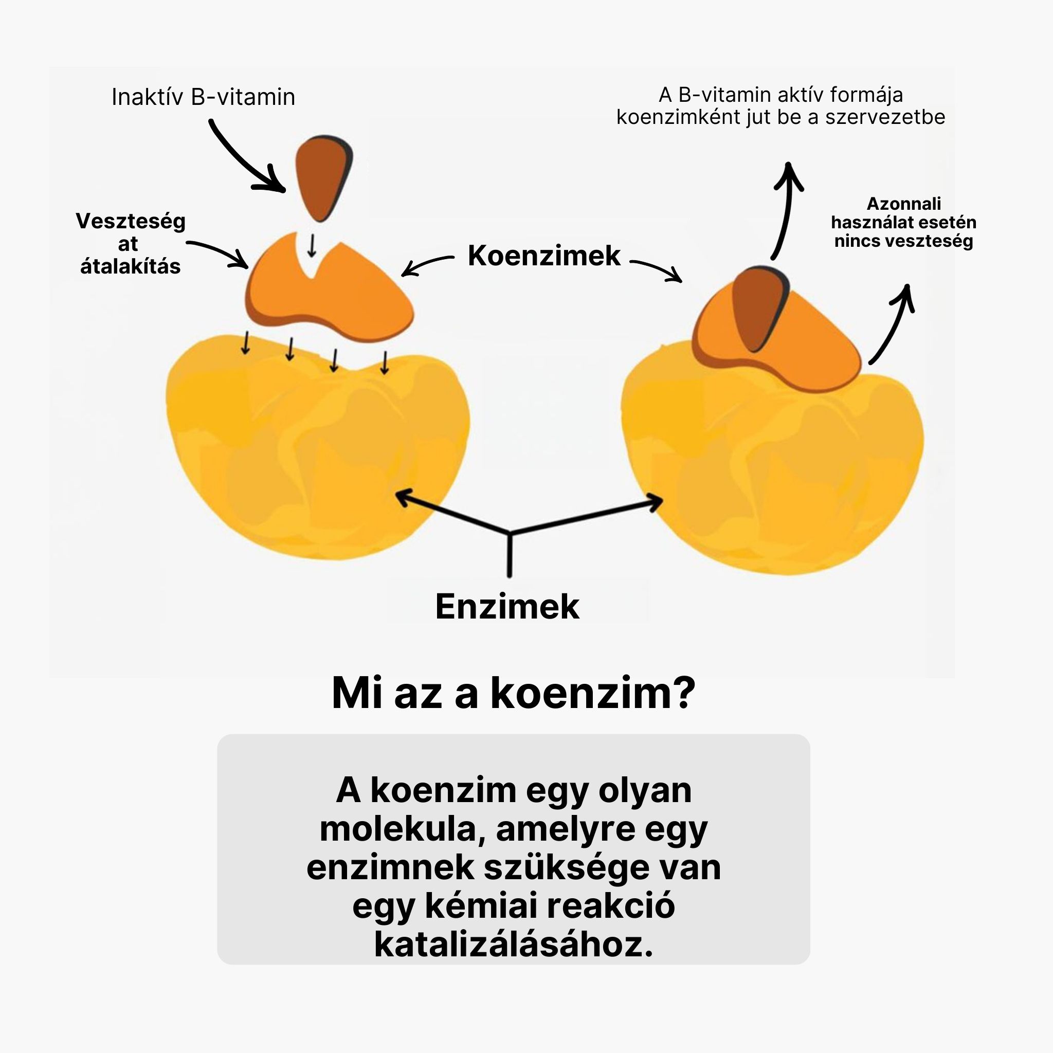 (Maďarština) (5)