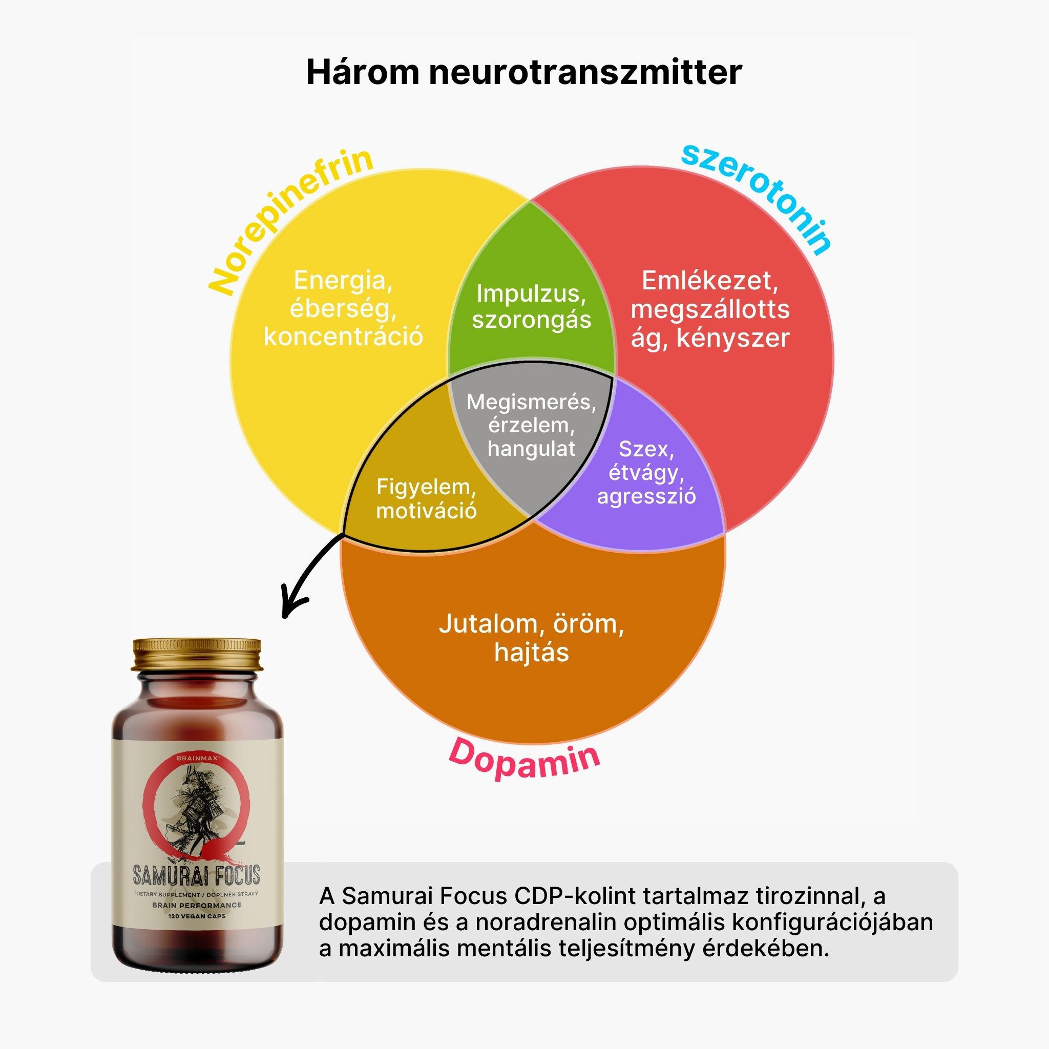 (Maďarština) (85)